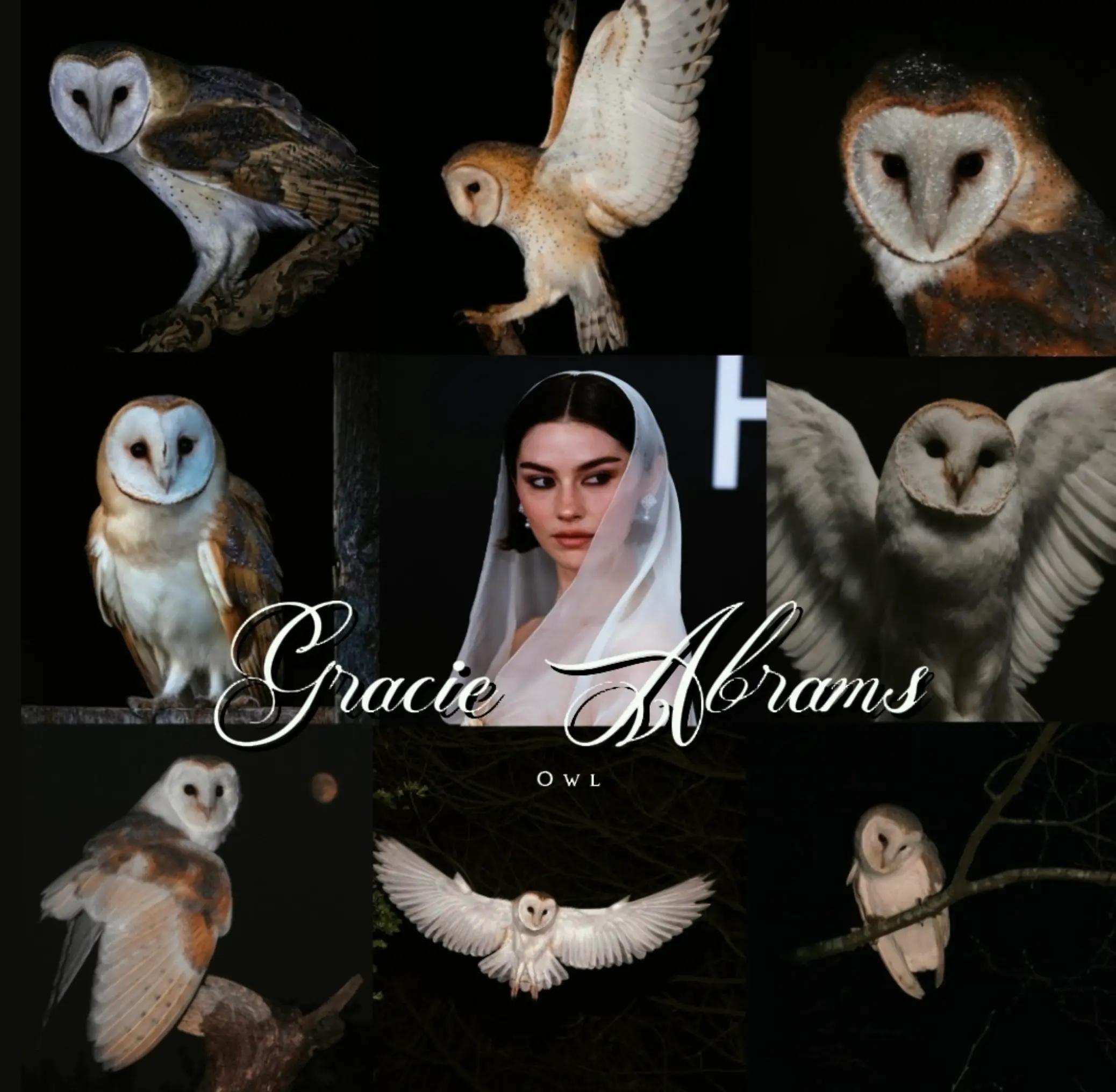 @𝒮𝓉𝒶𝓇 𝒟𝓊𝓈𝓈𝓉 ⋆