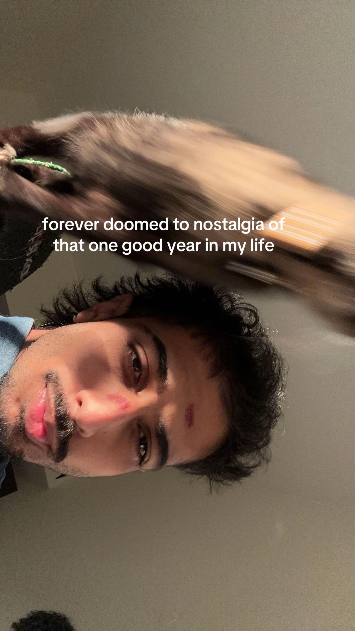 @schitsteinnn