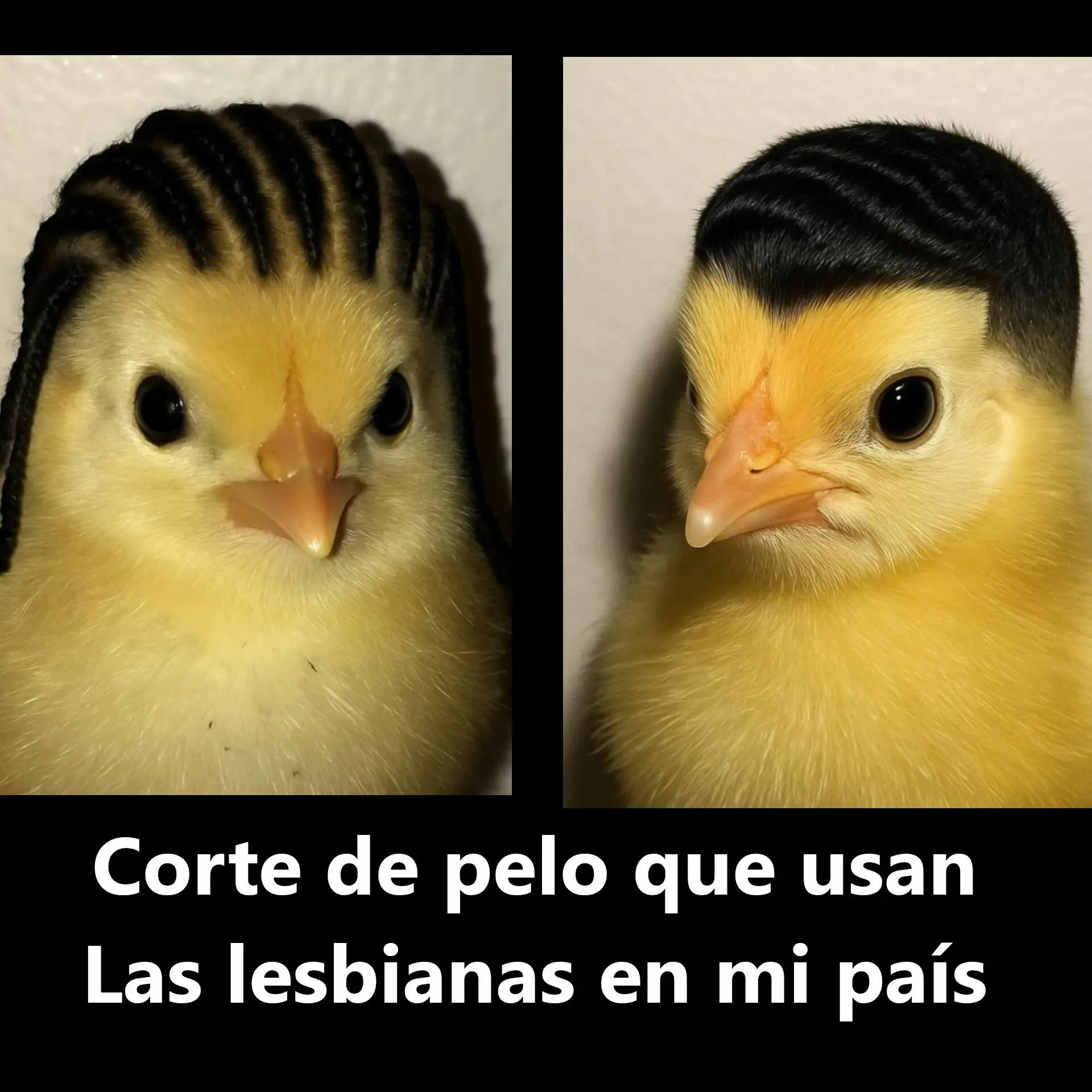 @TikToMalteco