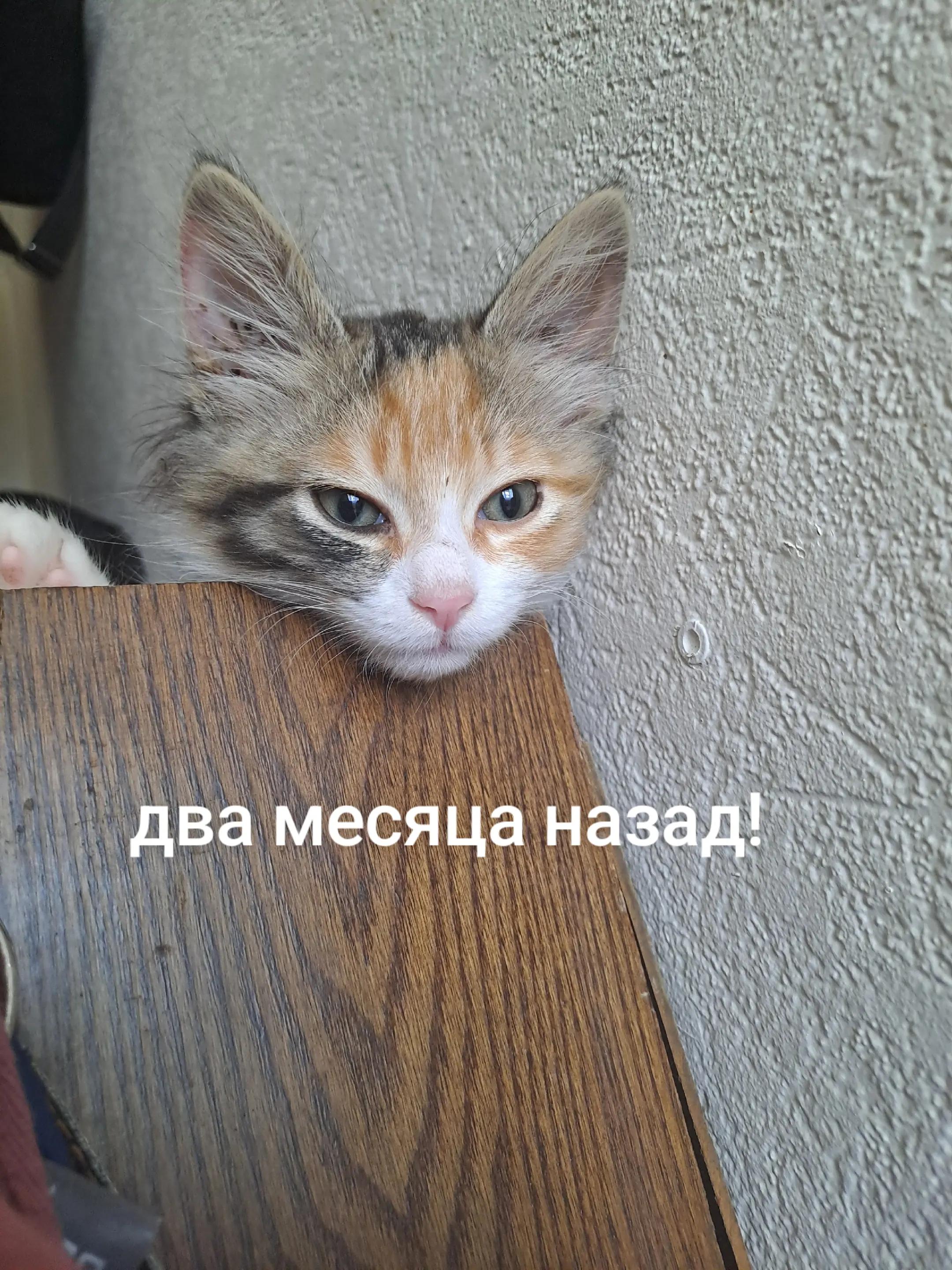@RUSSIAN_GG