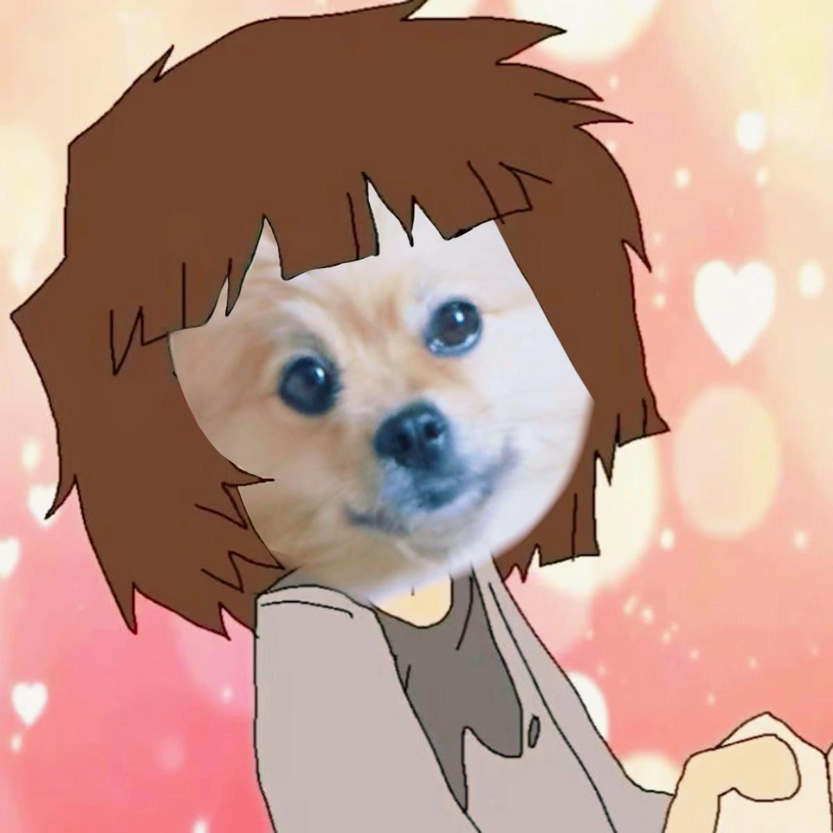 @🌇Burger dog🎇