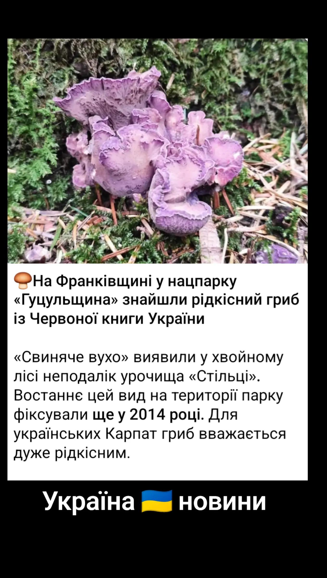 @Марго