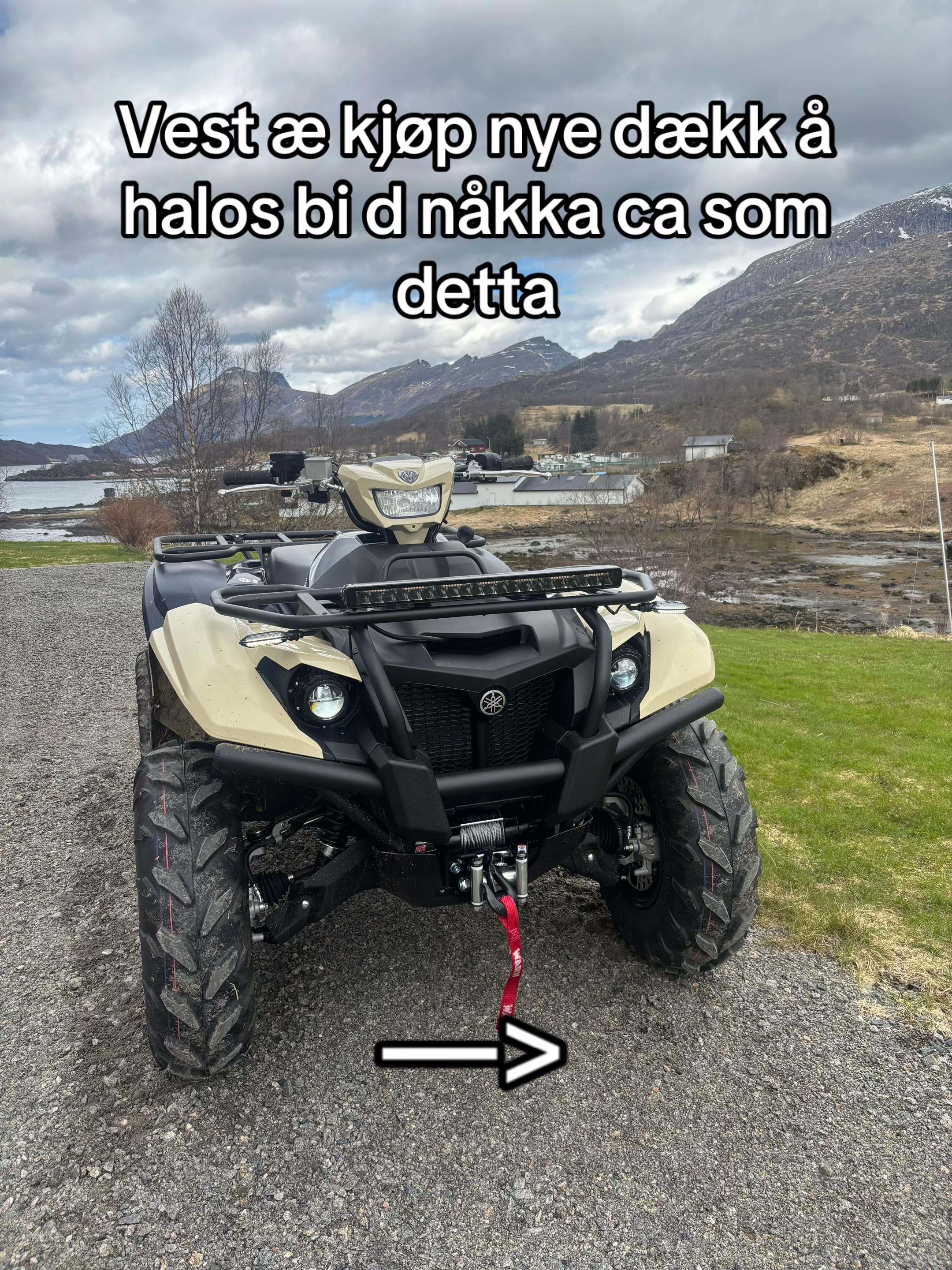 @𝓣𝓱𝓮𝓸𝓭𝓸𝓻