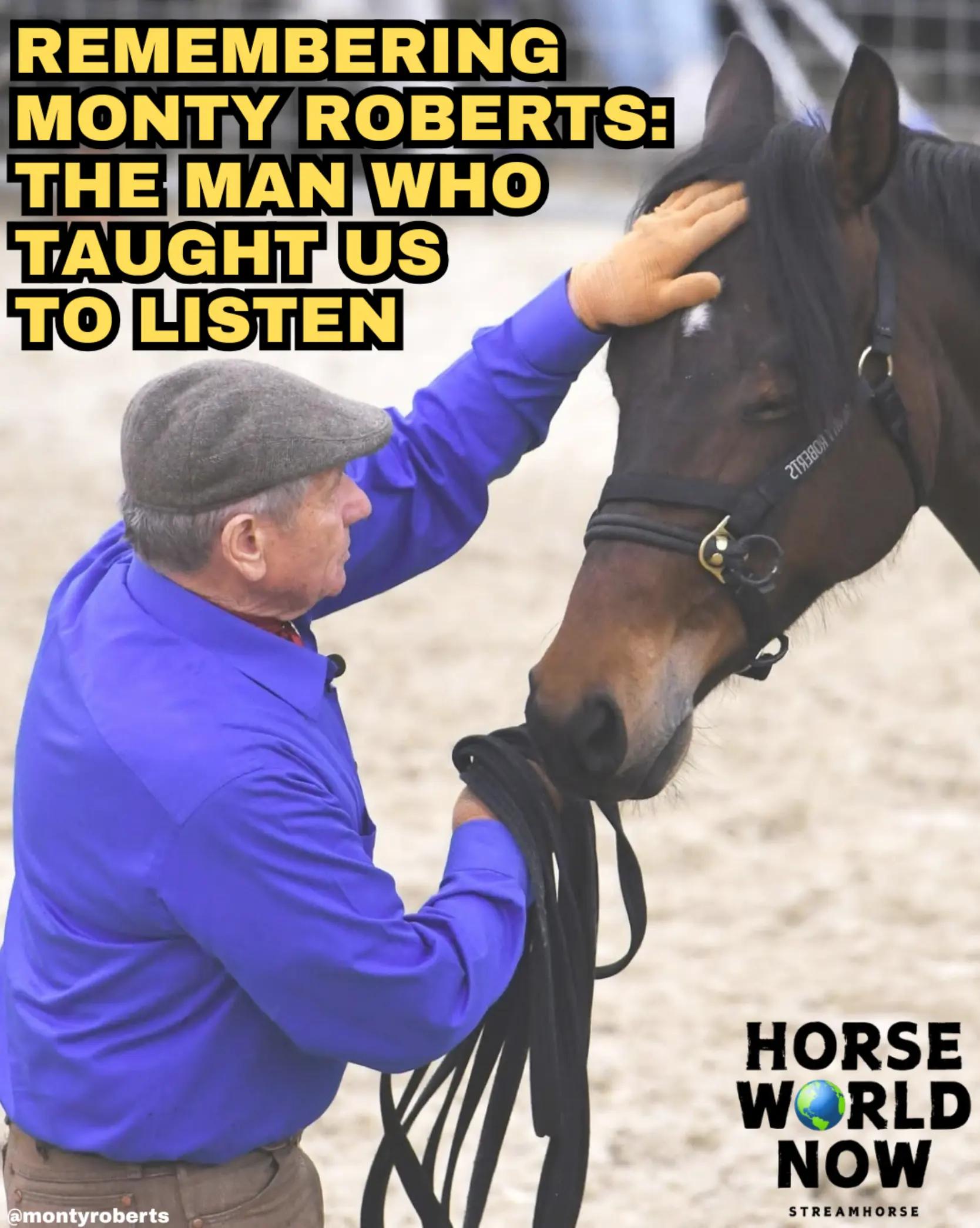 @streamhorse