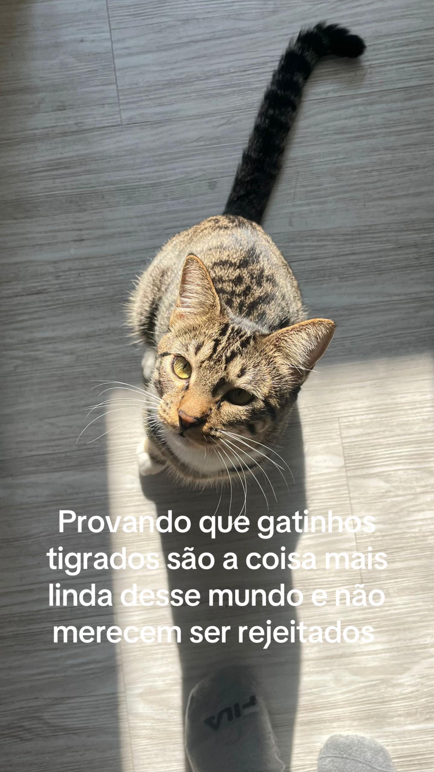 @Giu Panzutti