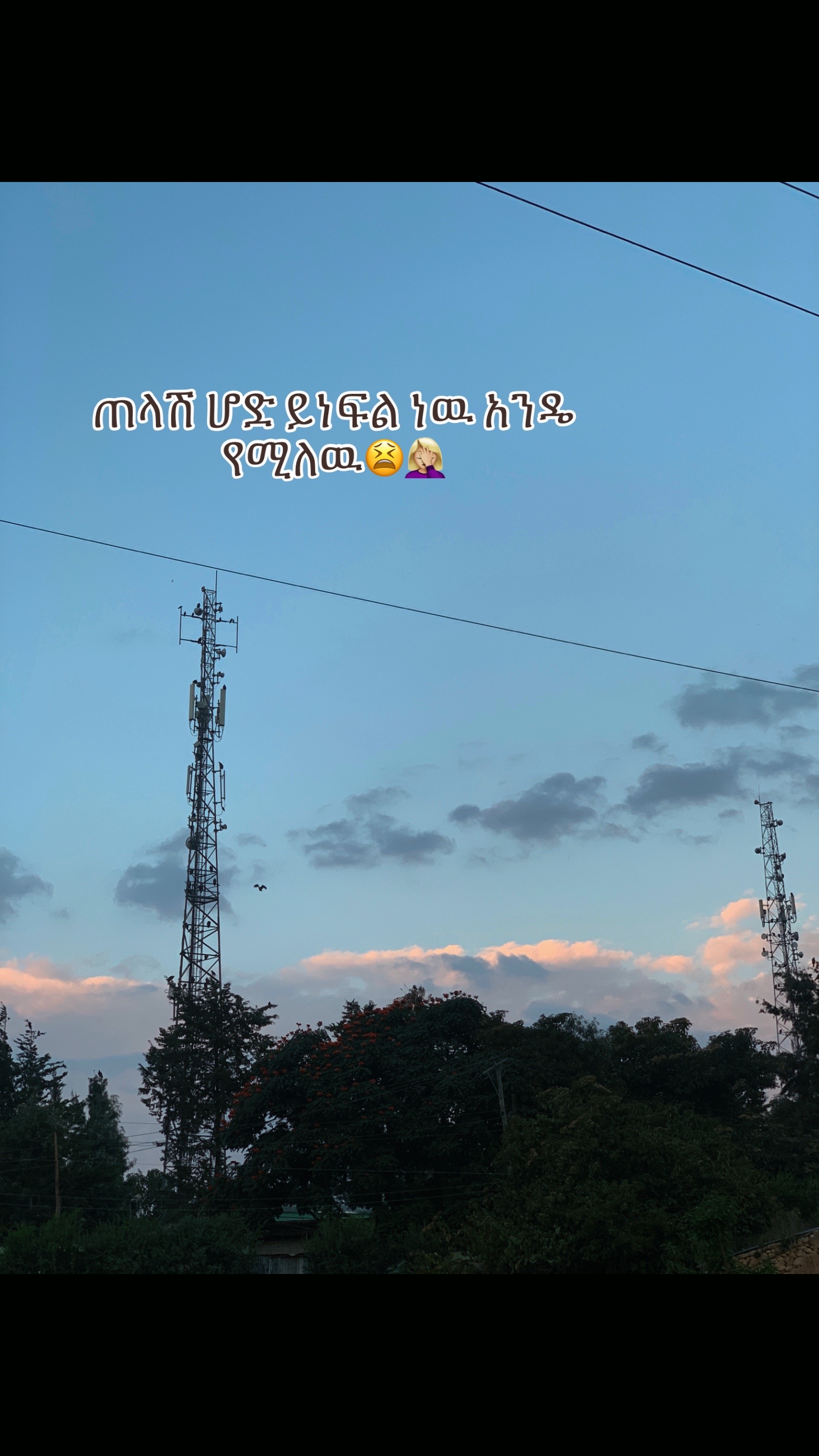@የአብ-ስራ🌸