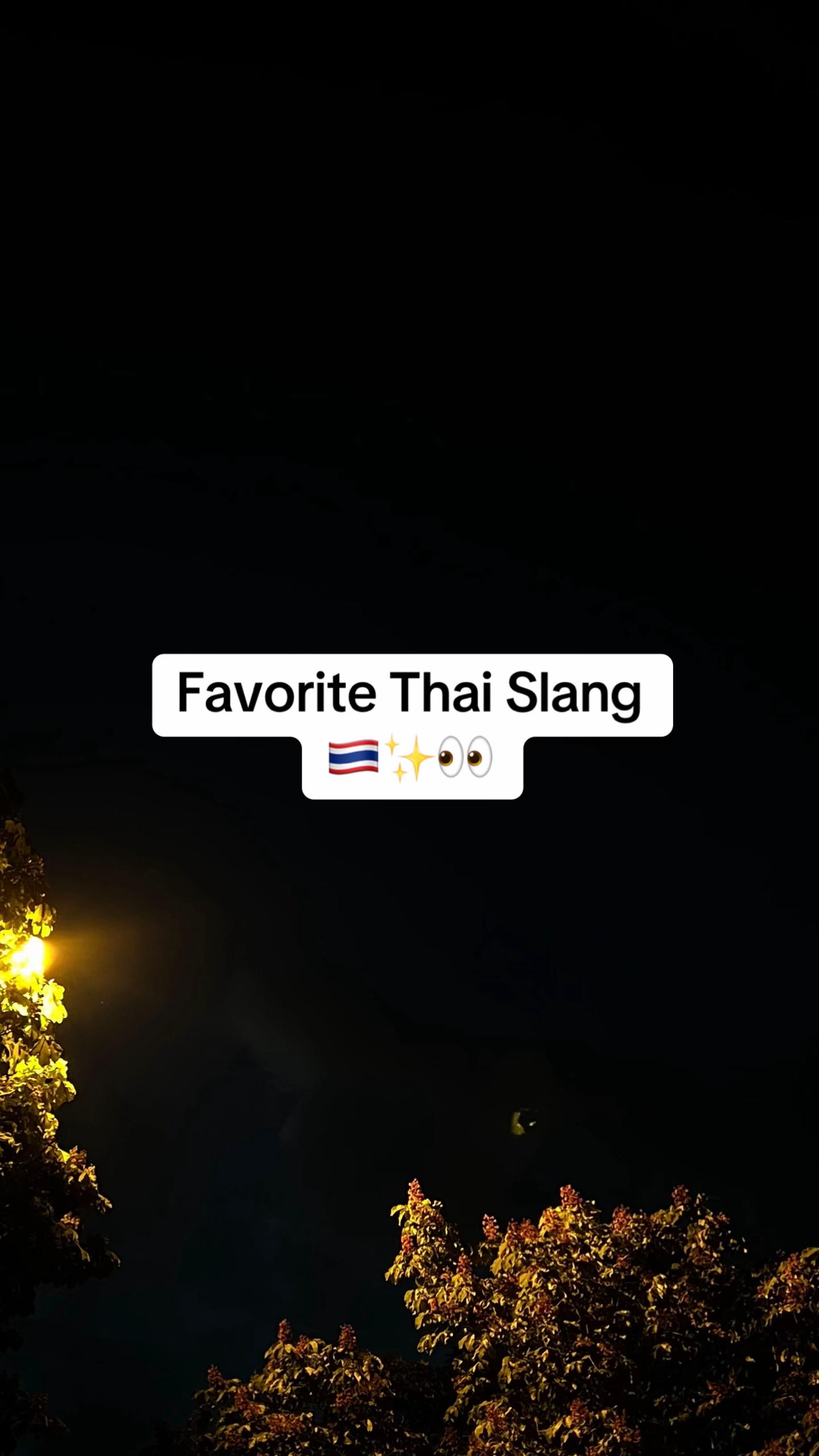 @moniCe &bull; โมนิ