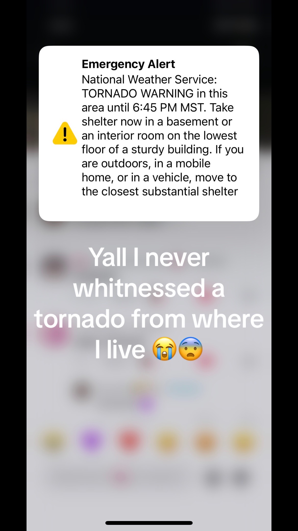 @TacoCat🌮🐈