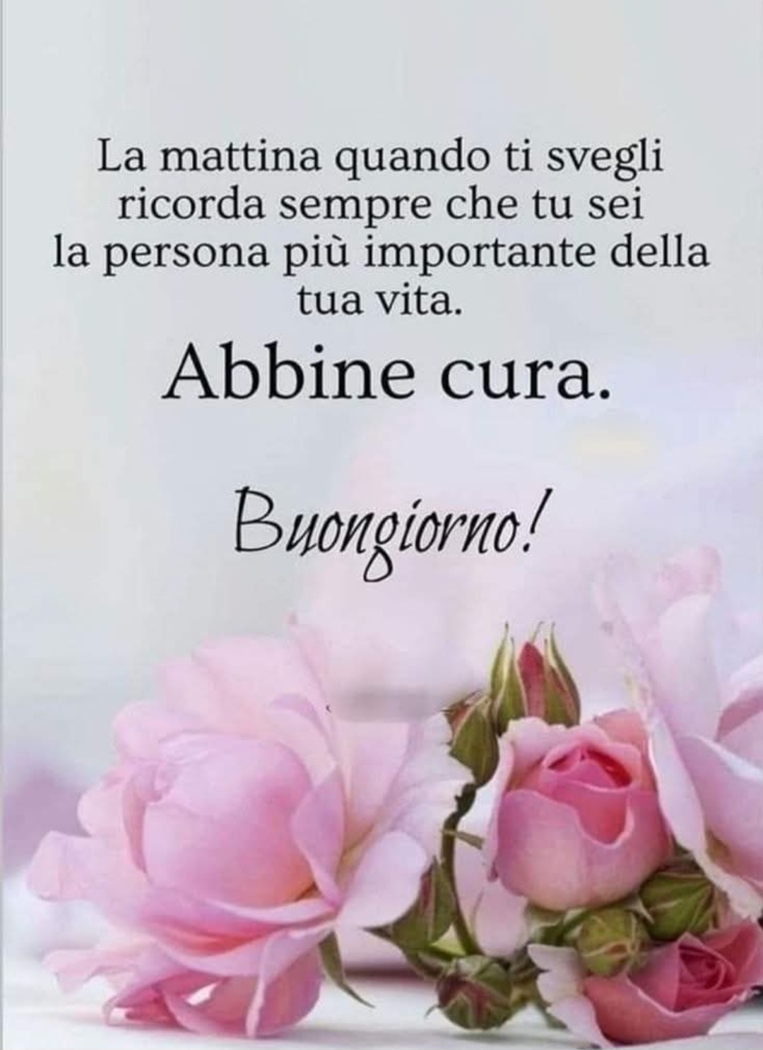 @☆Mihaela☆