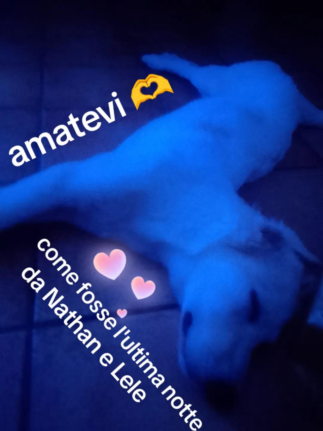 @lele