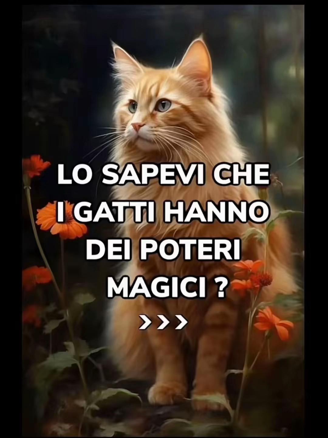 @Diego Rossano ๐๐๏ธ