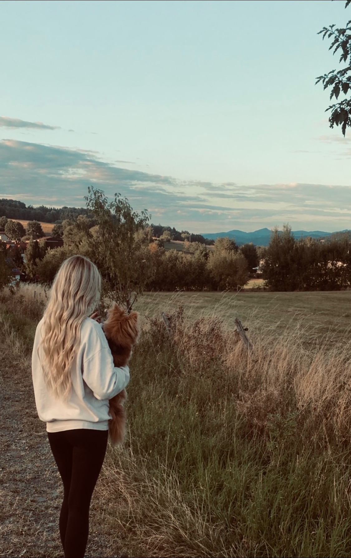 @Lisa💙PhiLLs kleine Nervensäge