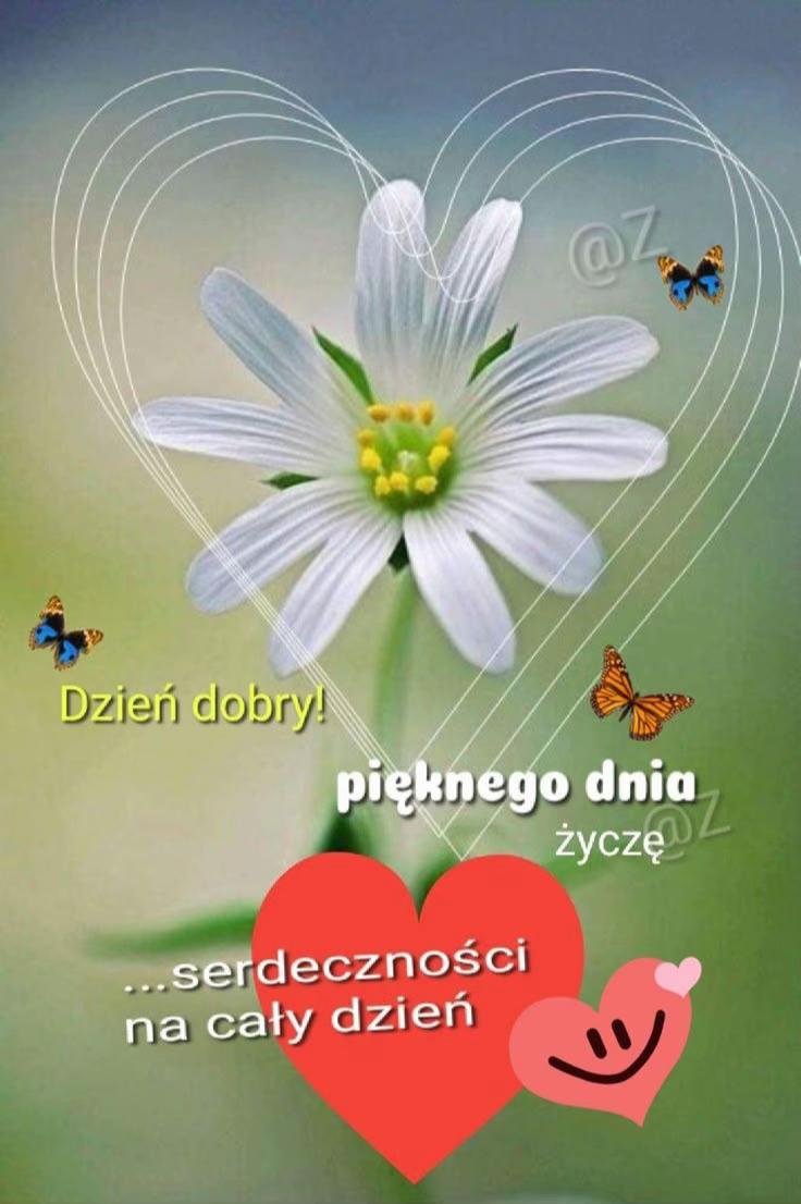 @Violcia💚