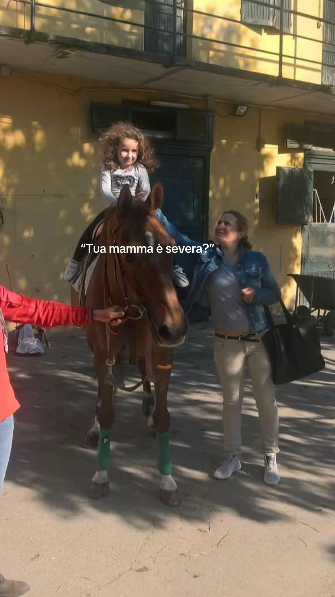 @spamm__
