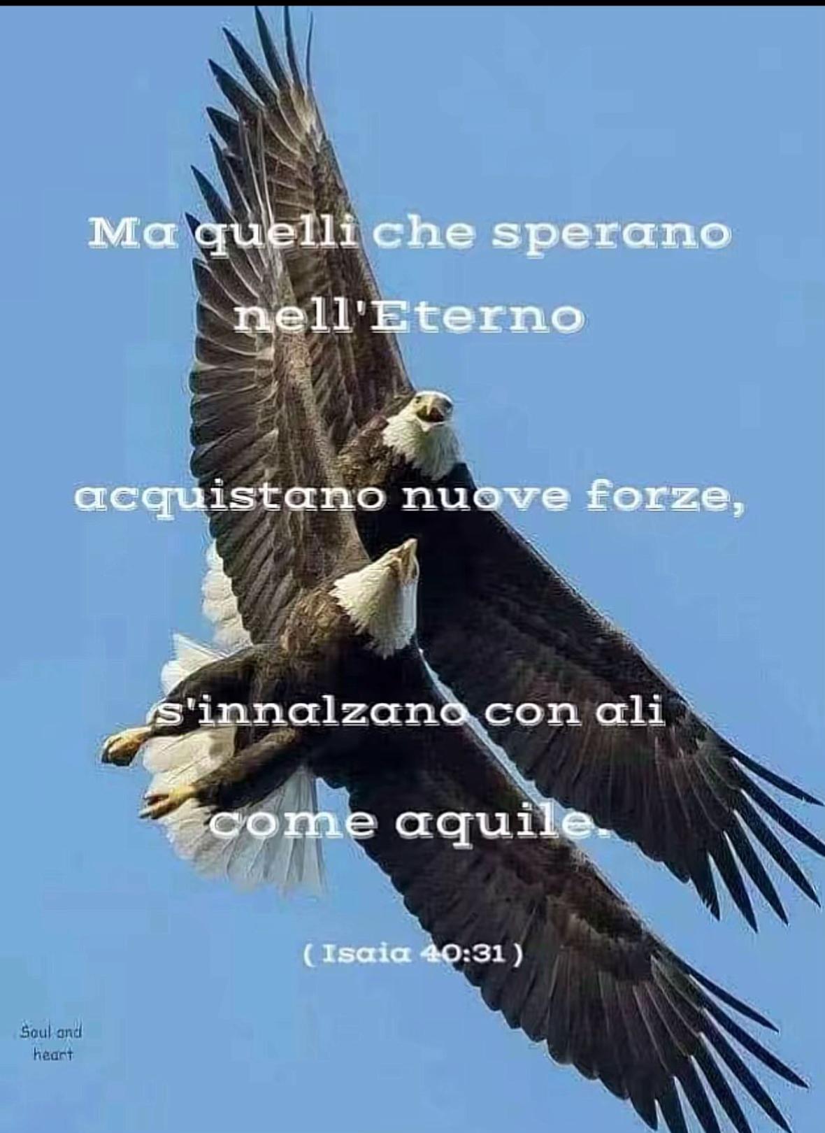 @Patriziagallotta