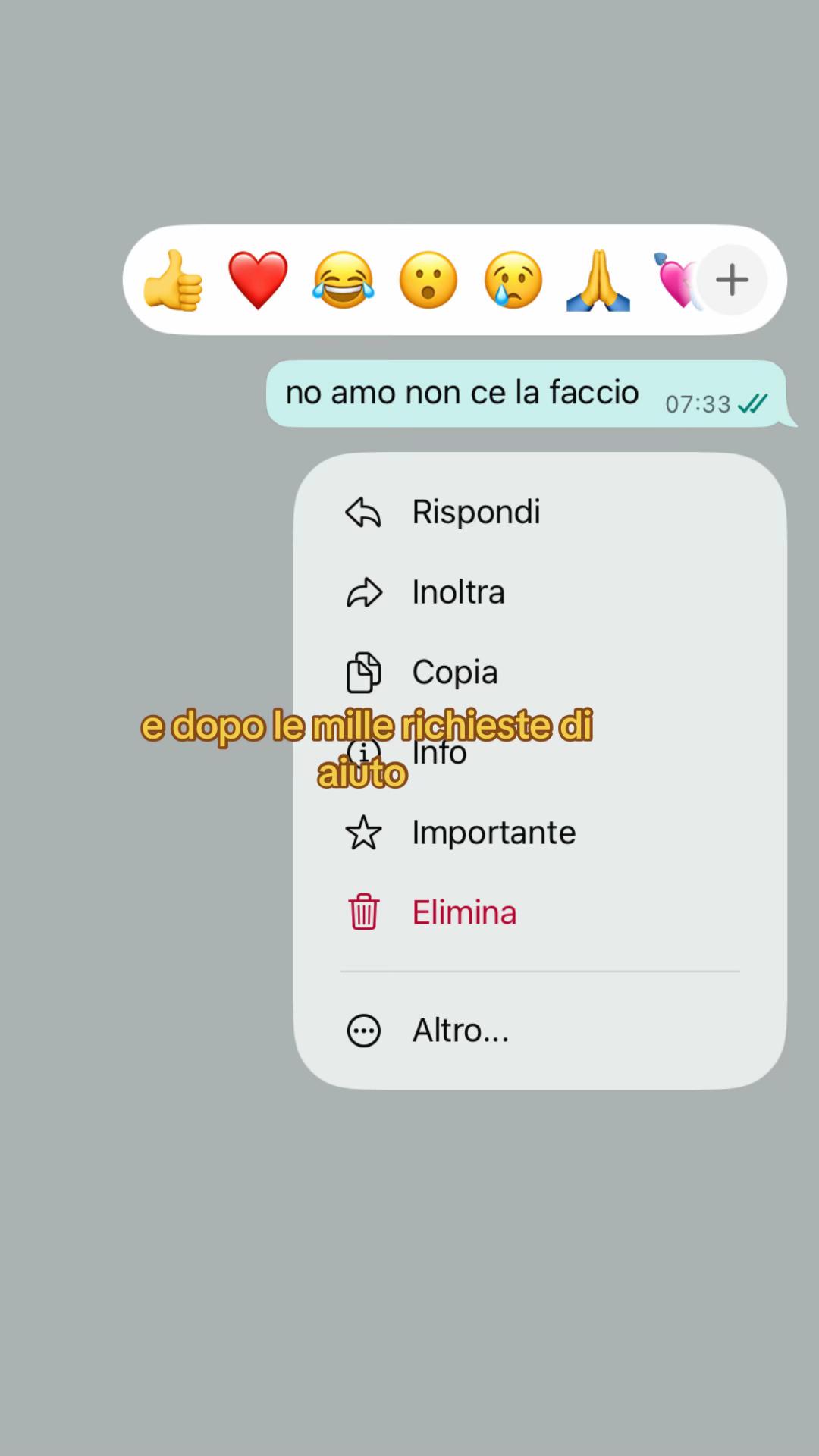 @Viola💙
