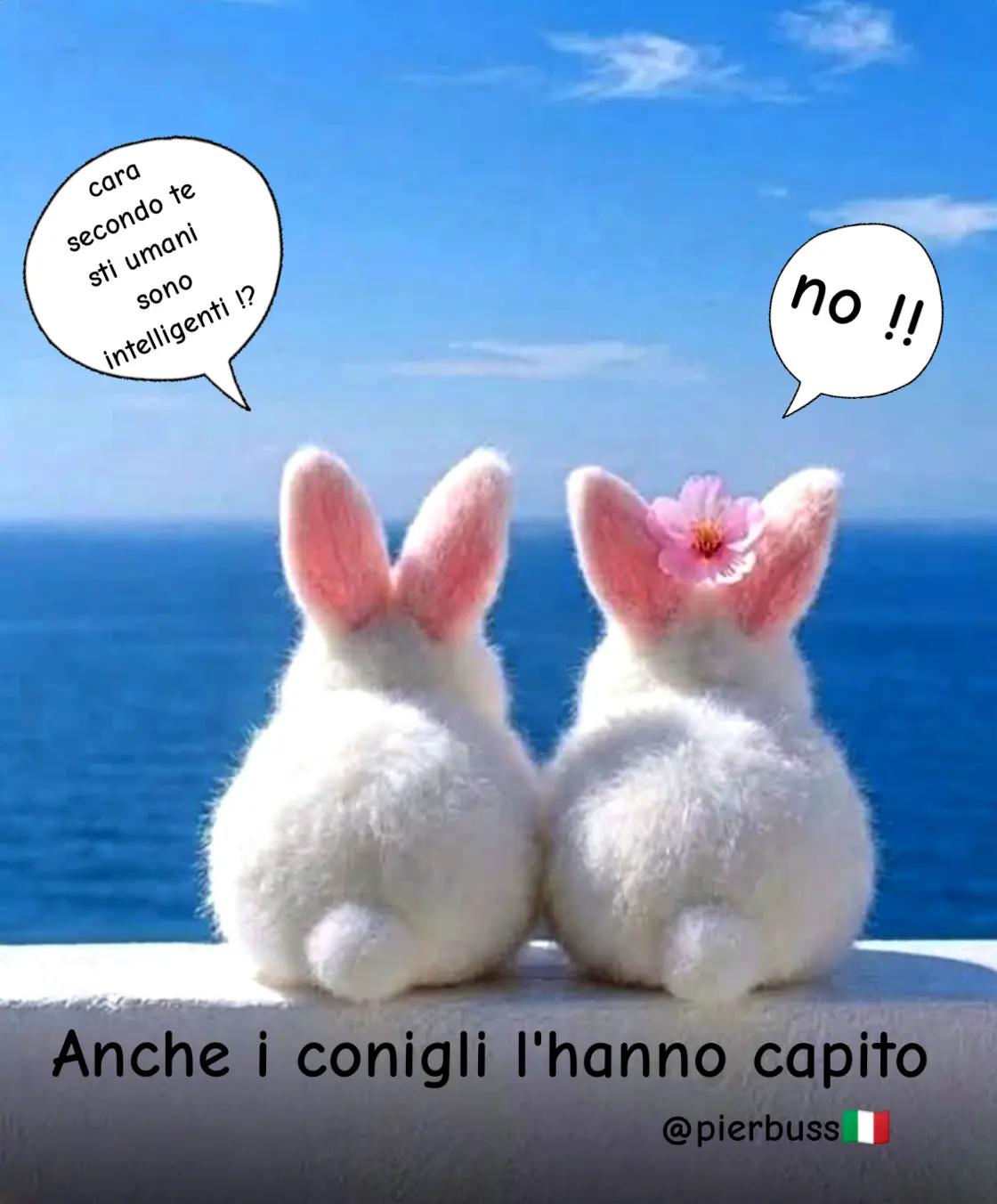 @pierbuss 🇮🇹