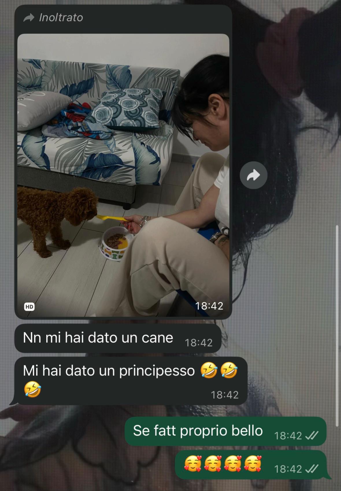 @cuccioli meravigliosi