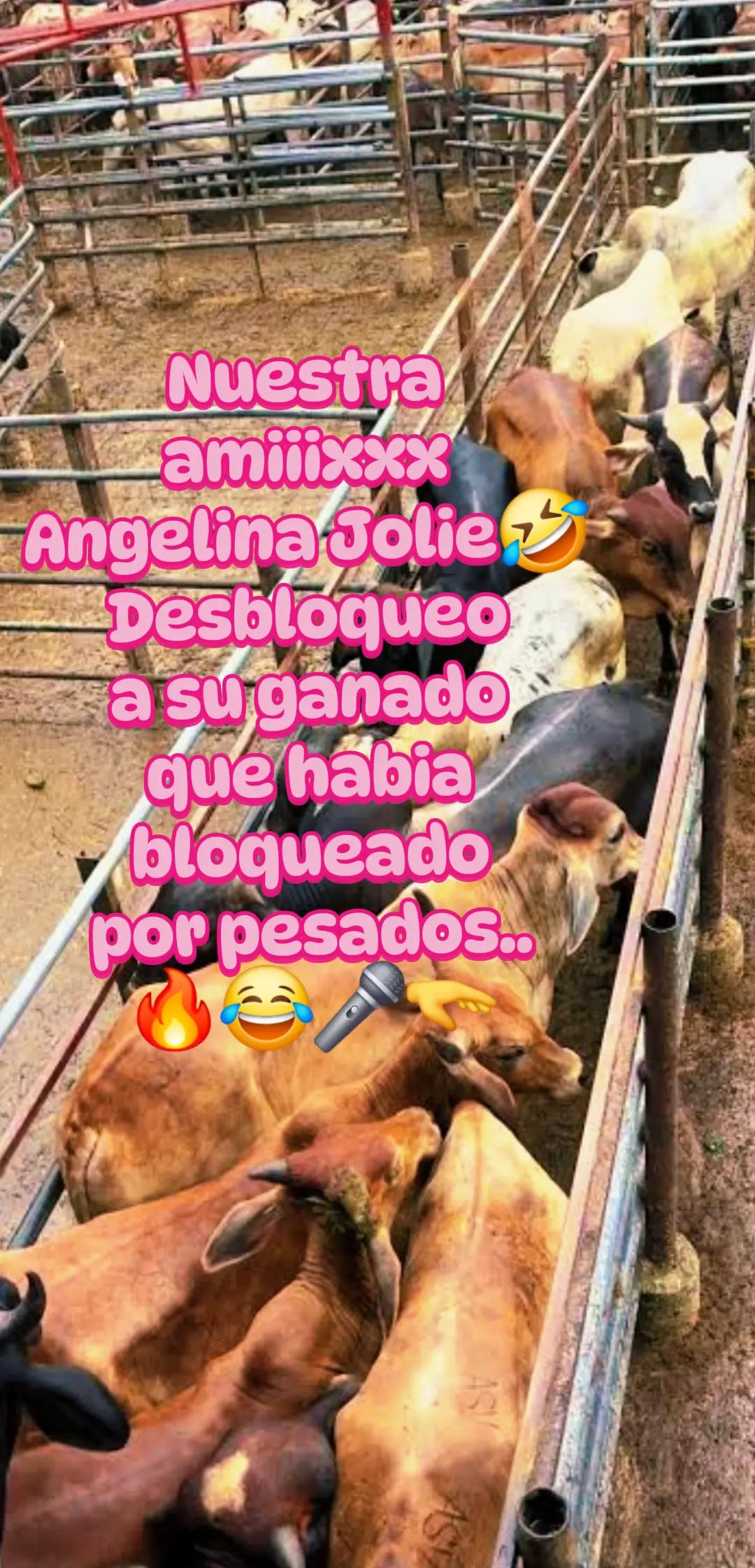 @๐ฅโ๐๐๐๐๐ ๐น๐ ๐ ๐ค๐ฅ