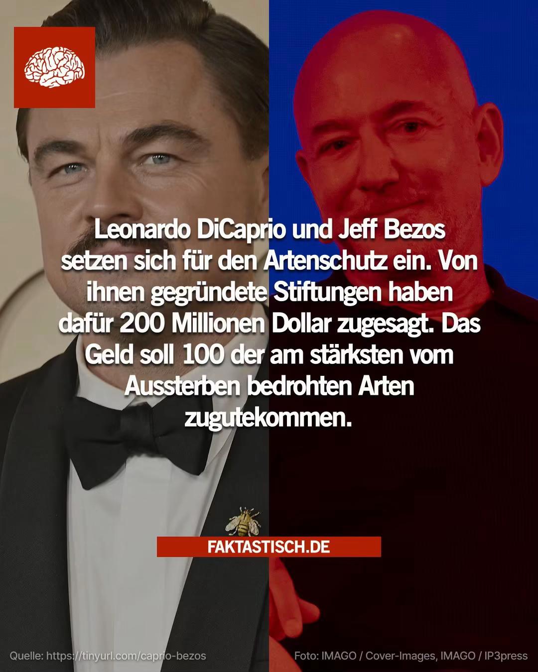 @Faktastisch