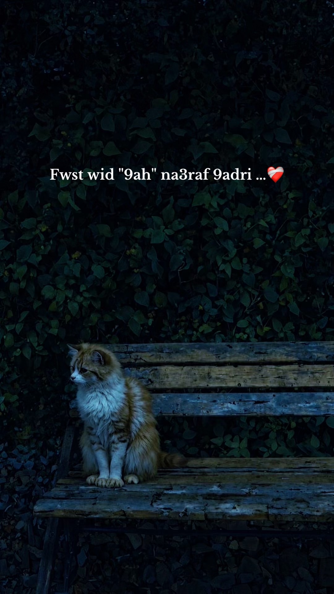 @𝙛𝙧𝙞𝙙𝙪𝙤𝙢  🥀❤️&zwj;🩹
