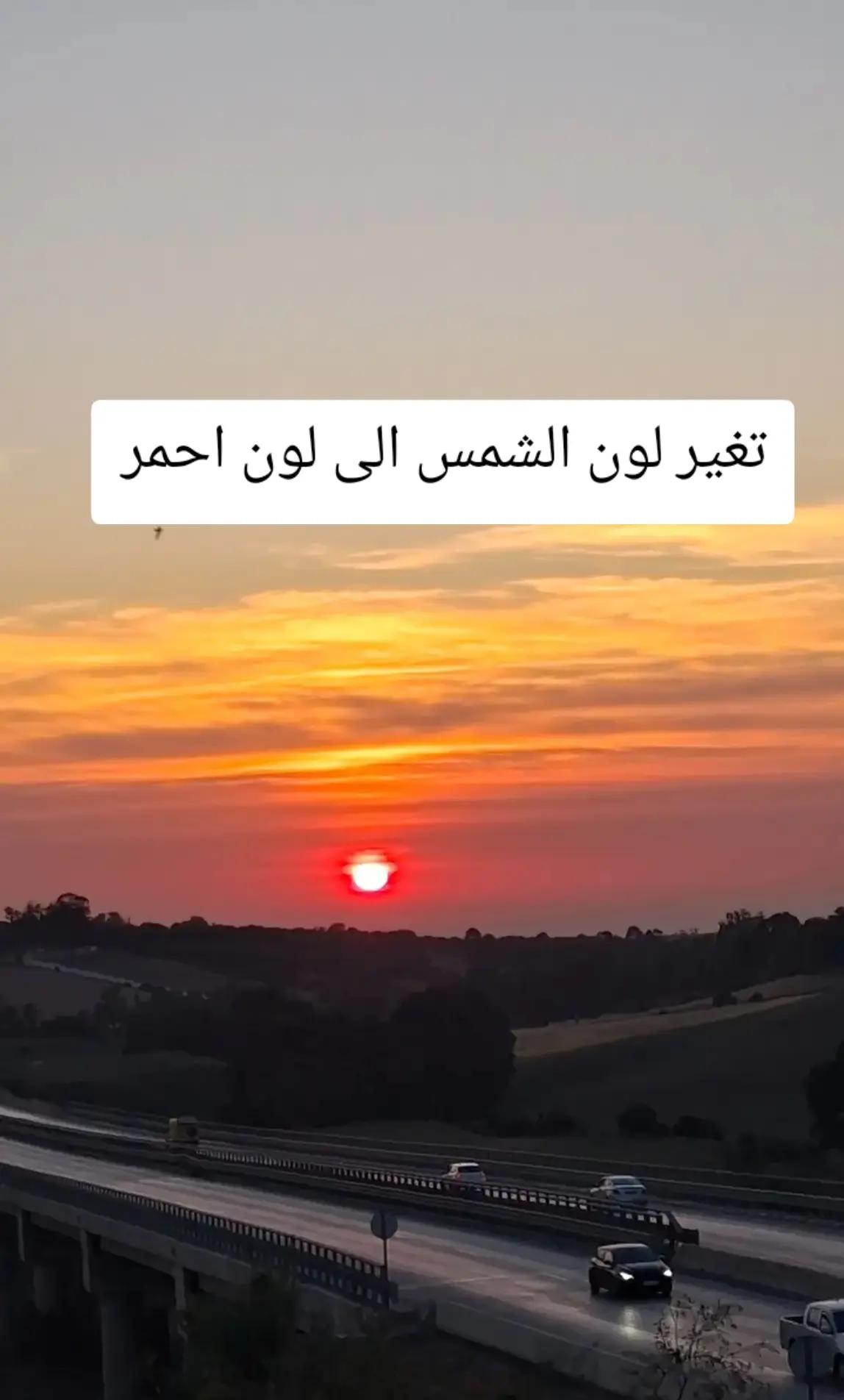 @🐦&zwj;🔥🇩🇿𝕞𝕒𝕪𝕤𝕥𝕣𝕠31🐦&zwj;🔥