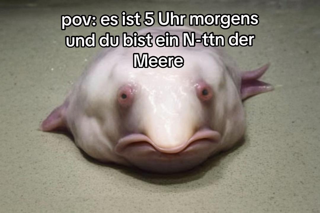 @sej