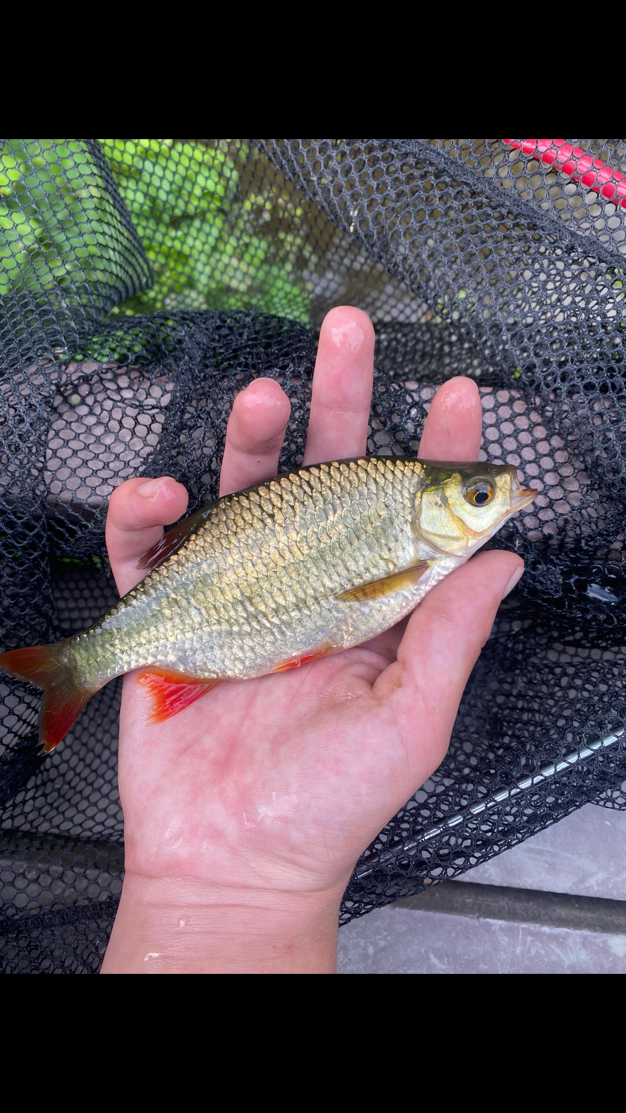 @🎣