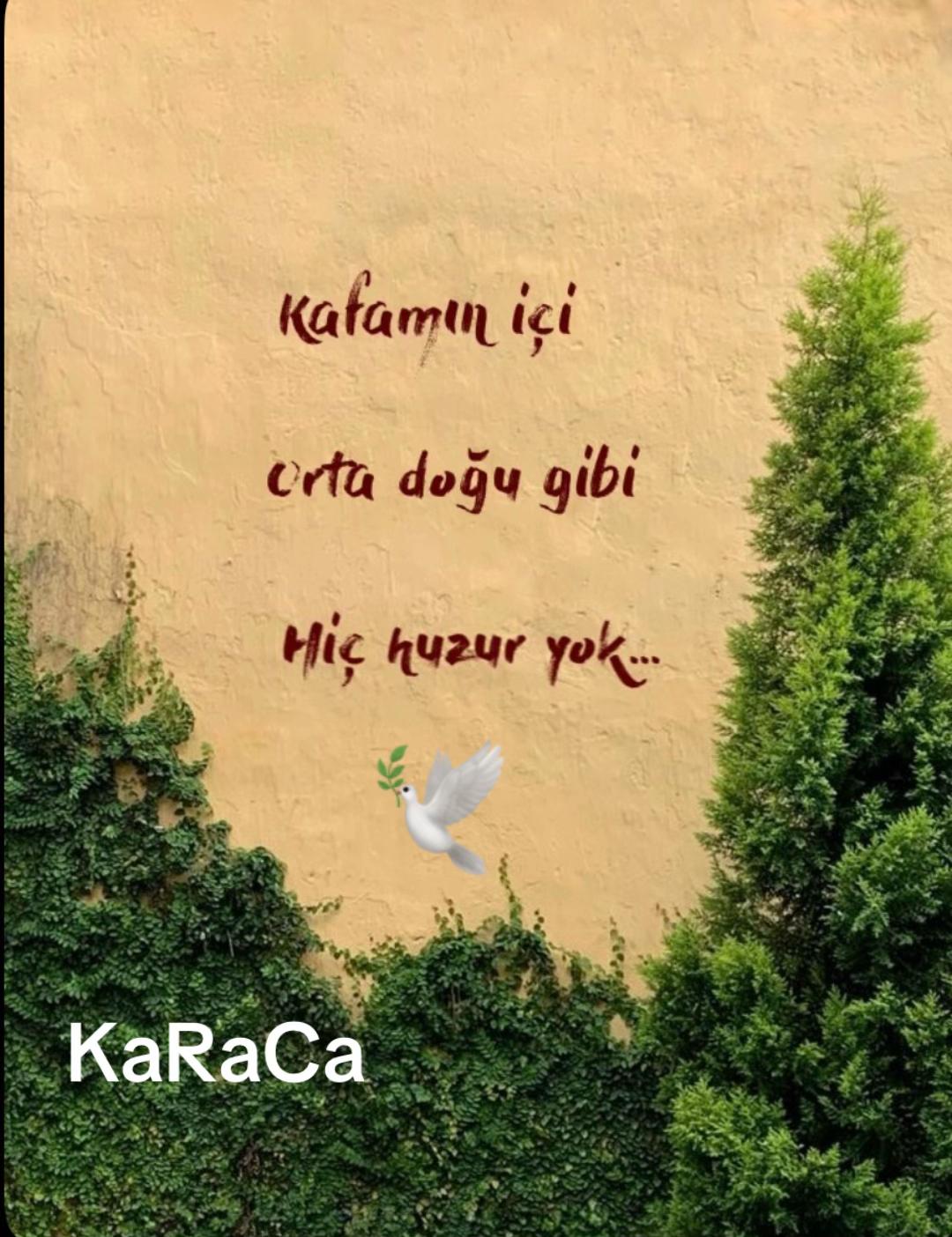 @KaRaCa