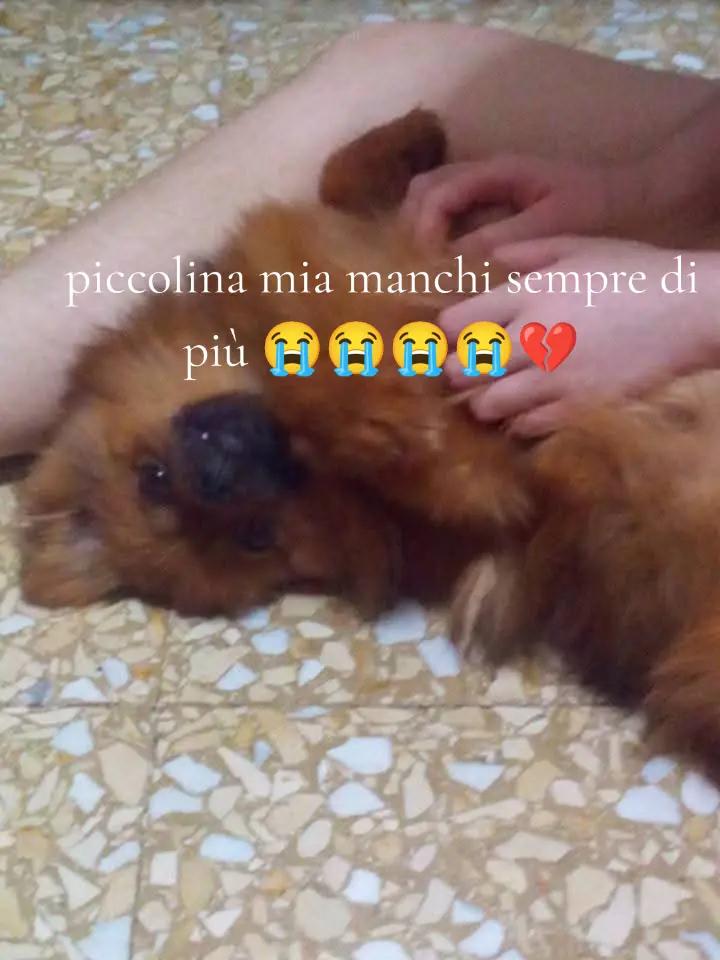 @Carmela Aiello