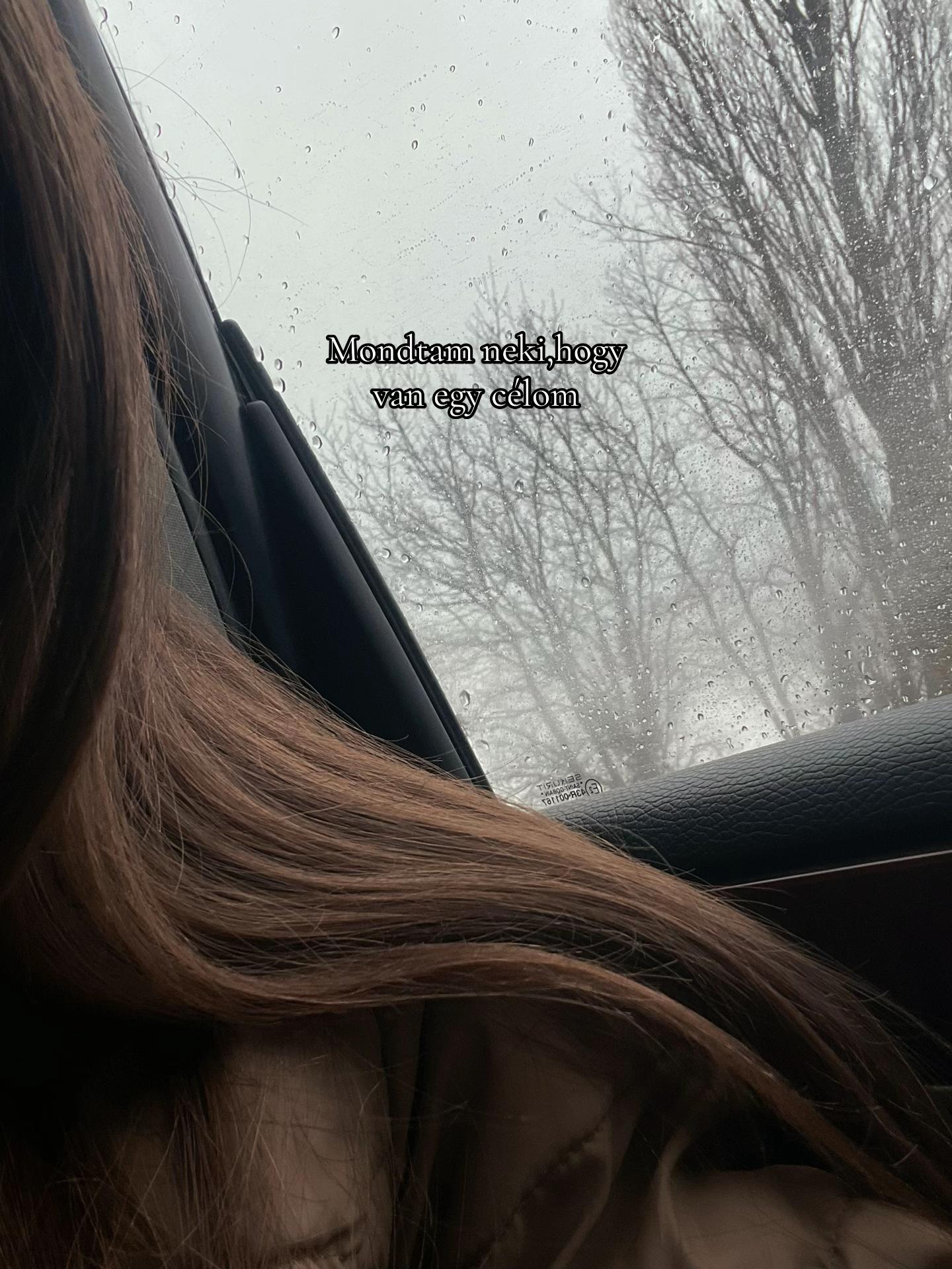@🦦