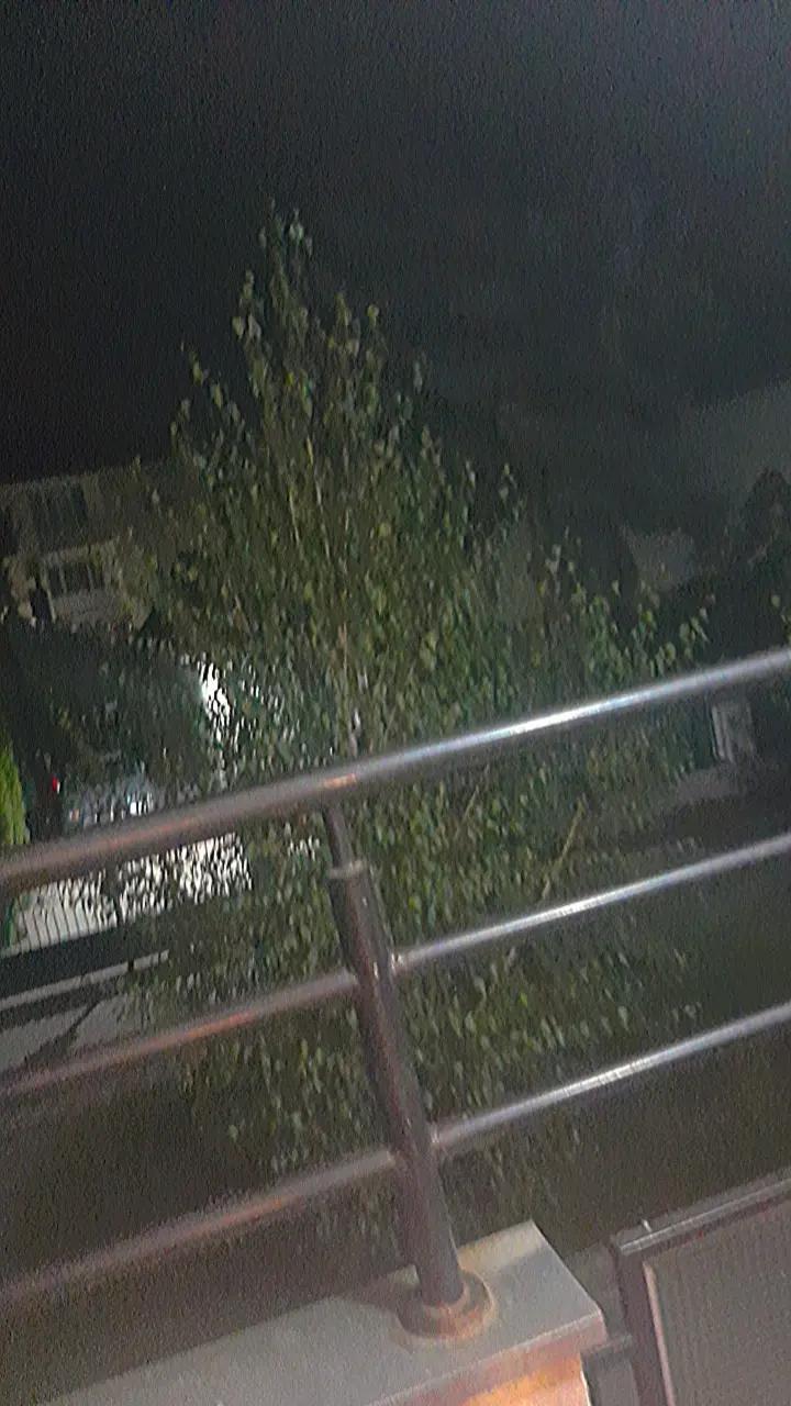 @Ajlin medvedić🎀