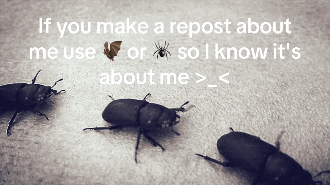 @☠︎︎☭𓆩Andrew𓆪☭☠︎︎🪖🪓