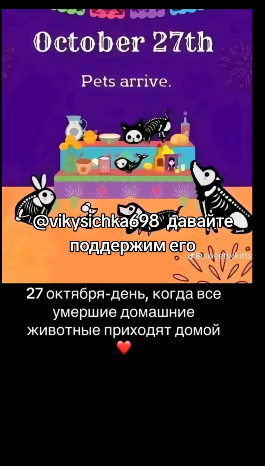 @Котогусеница