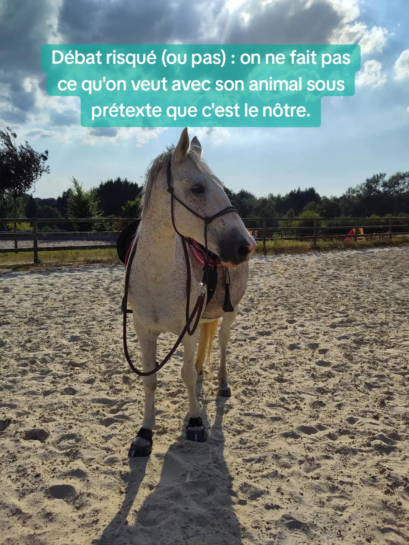 @mathilde🦄