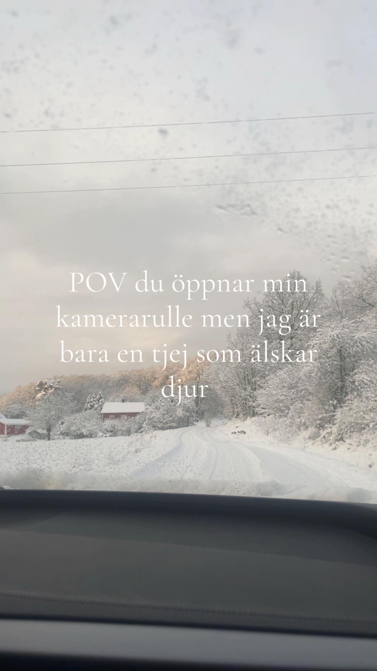 @๐ฅ๐๐๐๐ถ๐๐ชฝ