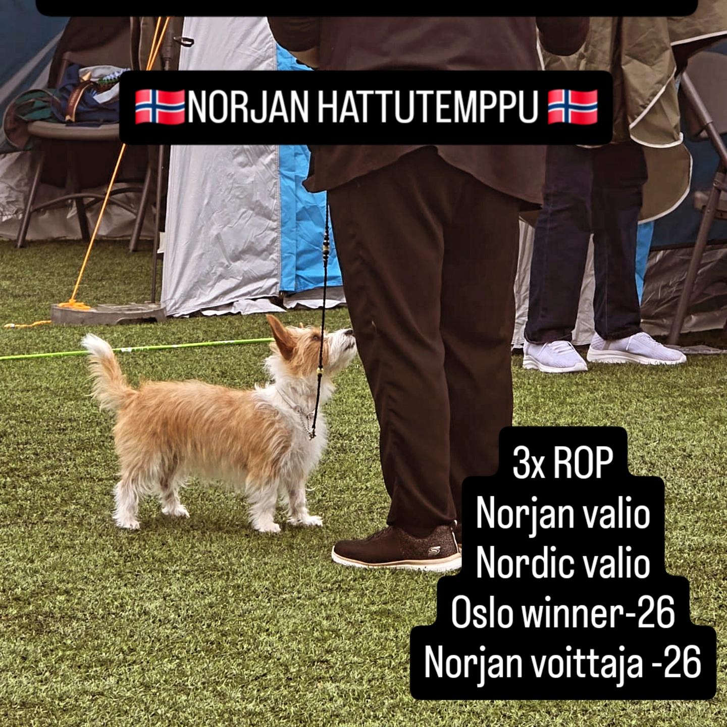 @Erja