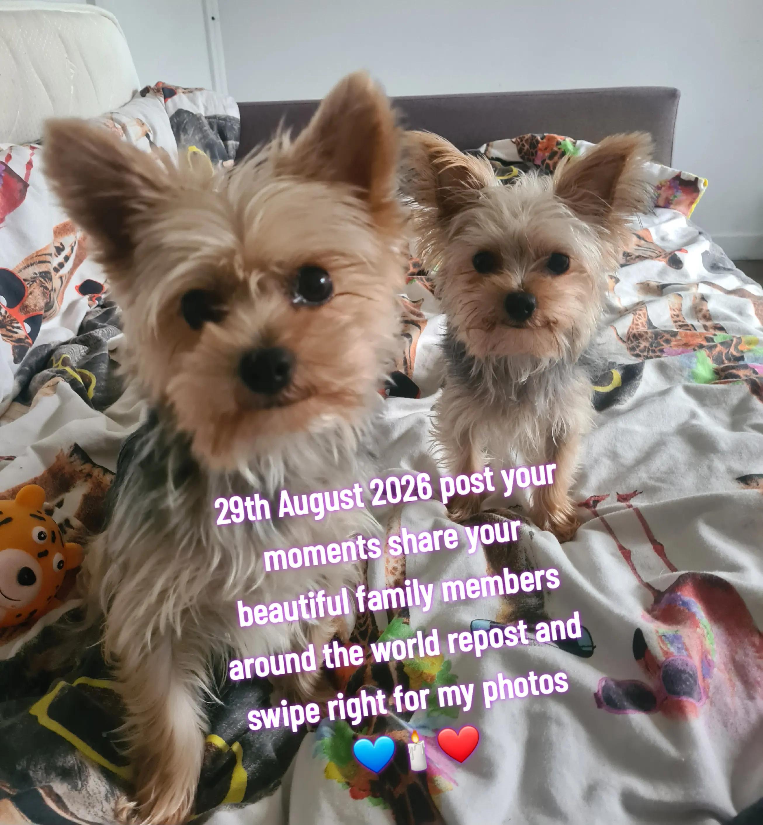 @claire🌈BellaBertErnie💙T&D