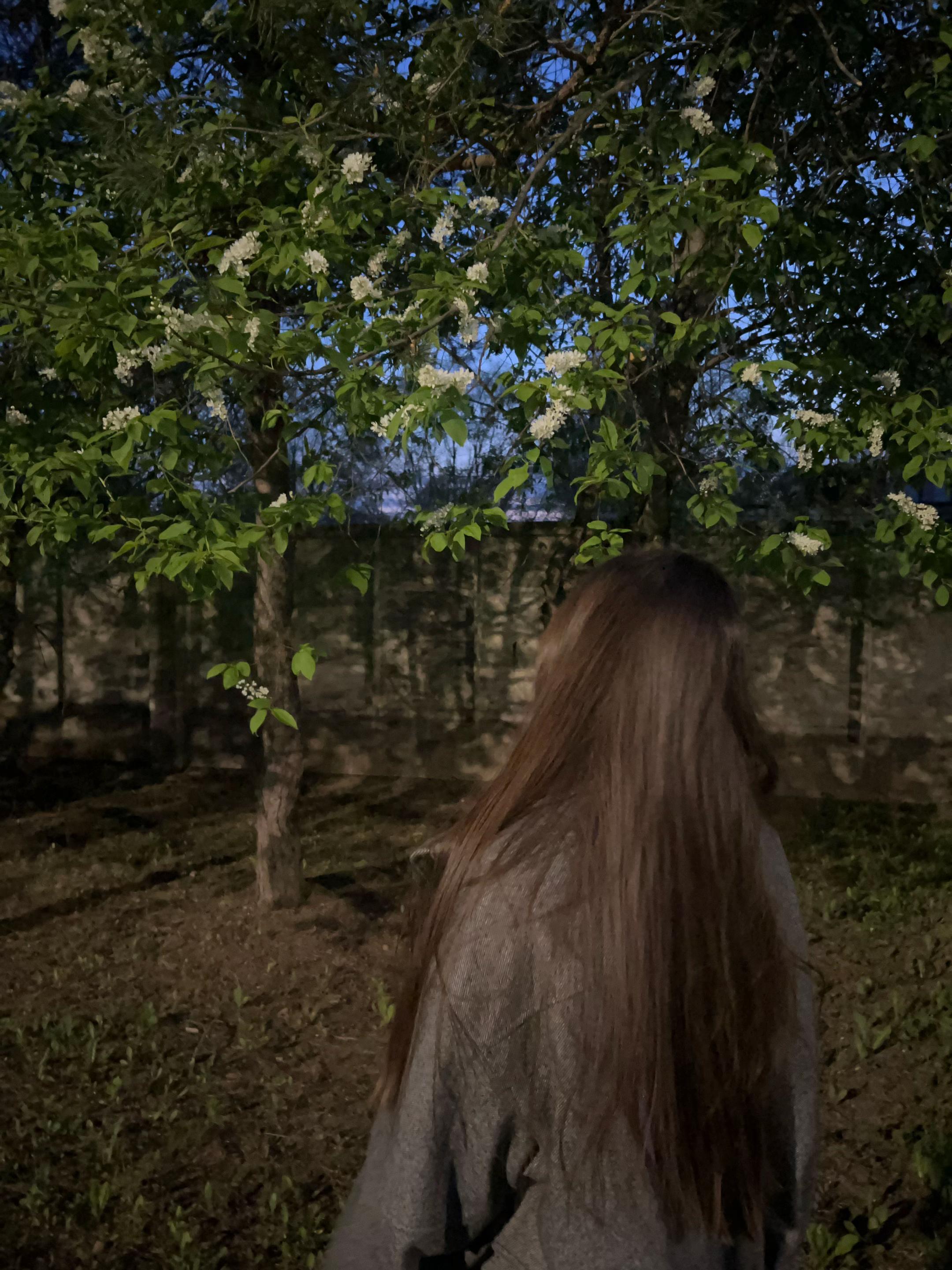 @_e_alexsandrovna🖤