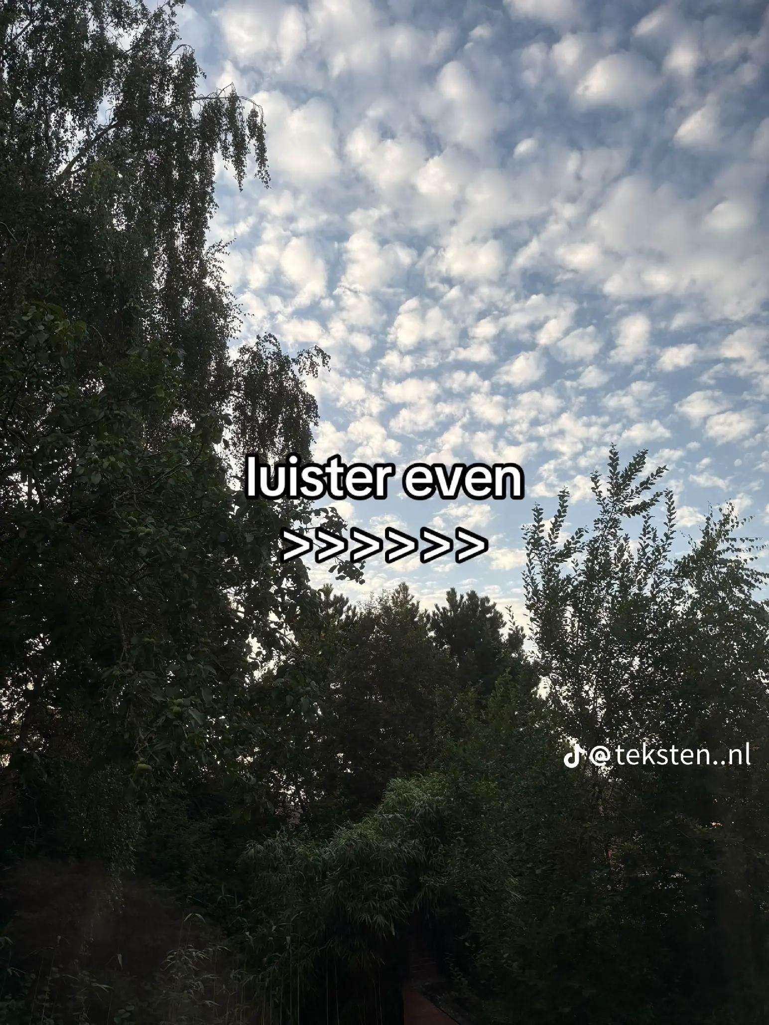@Bjorn