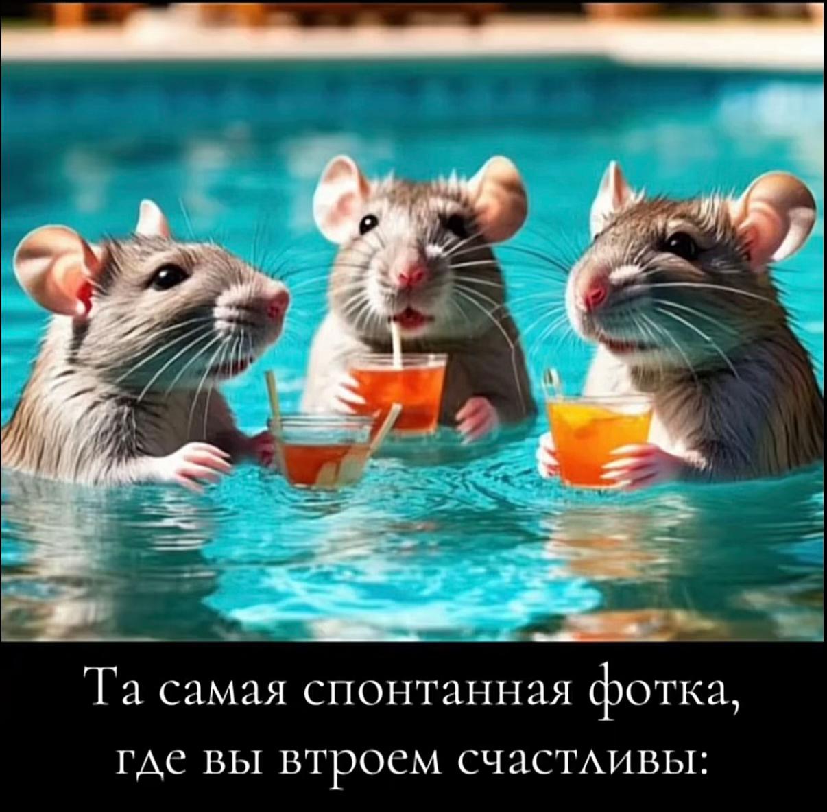 @мила ви