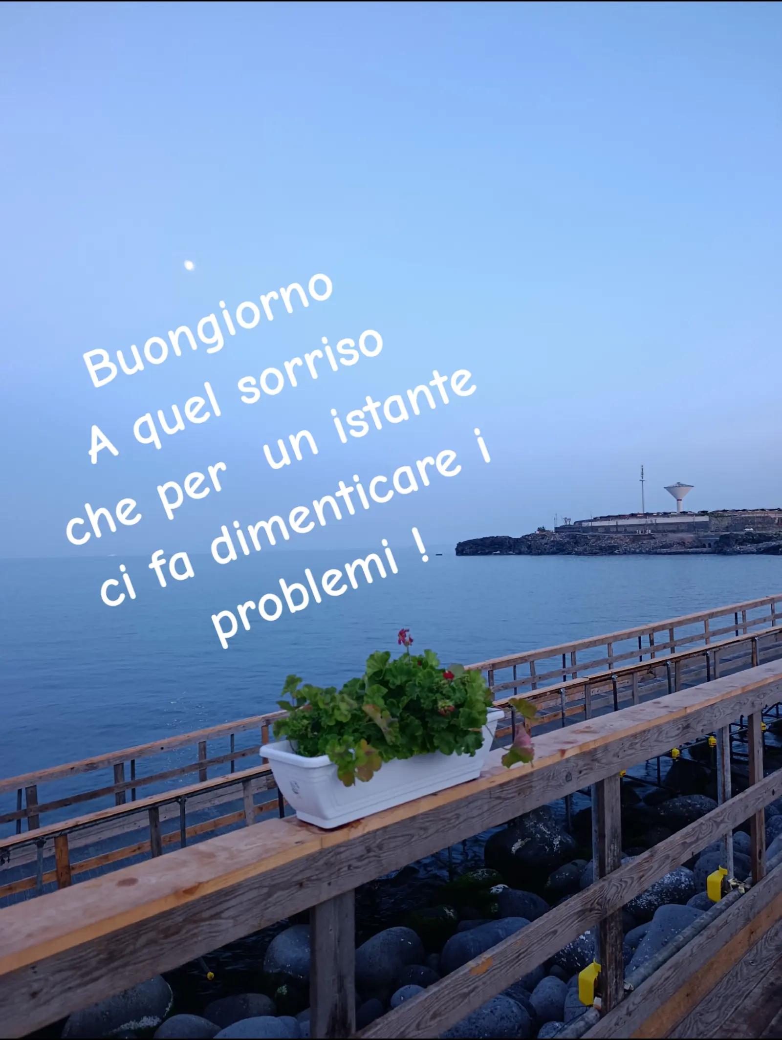 @Maria Giuffrida