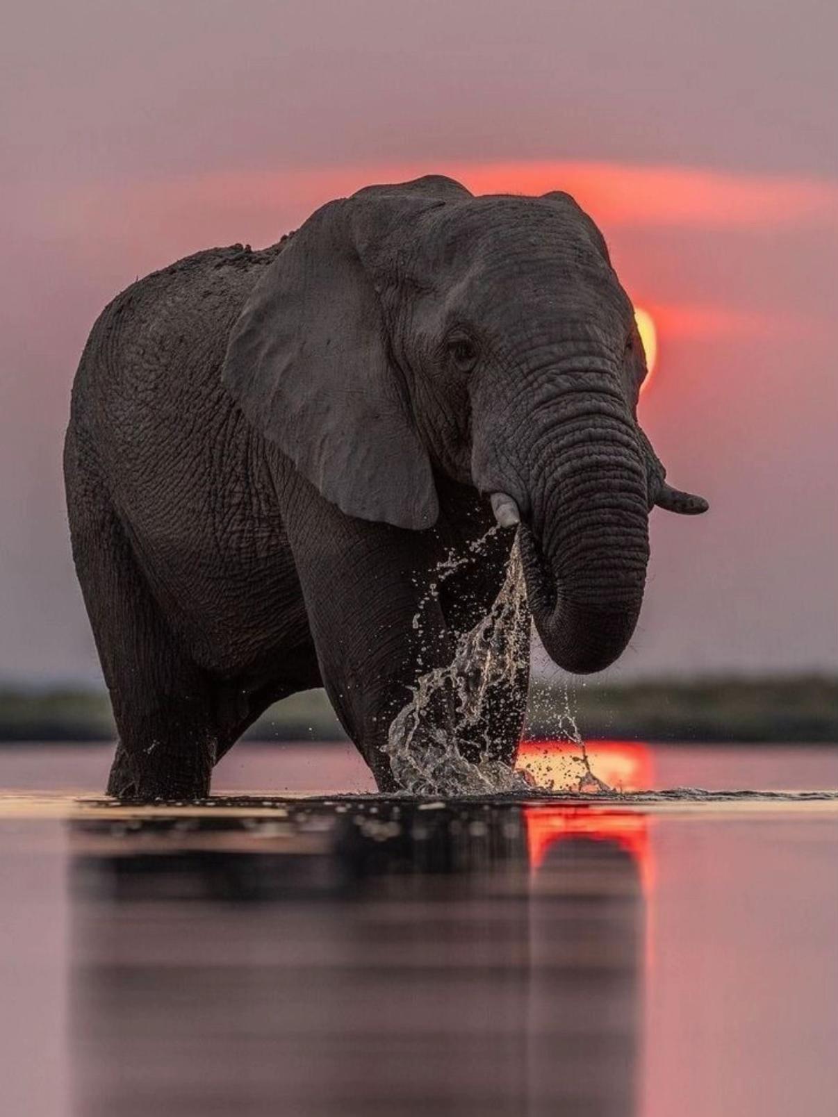 @𝓛𝓾𝓬𝓪_388