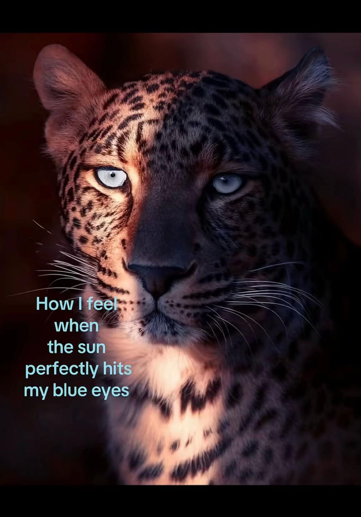 @olivia
