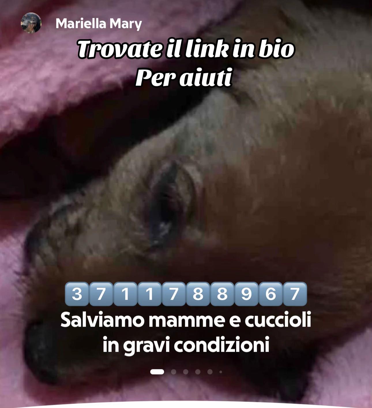 @I randagi di nessuno