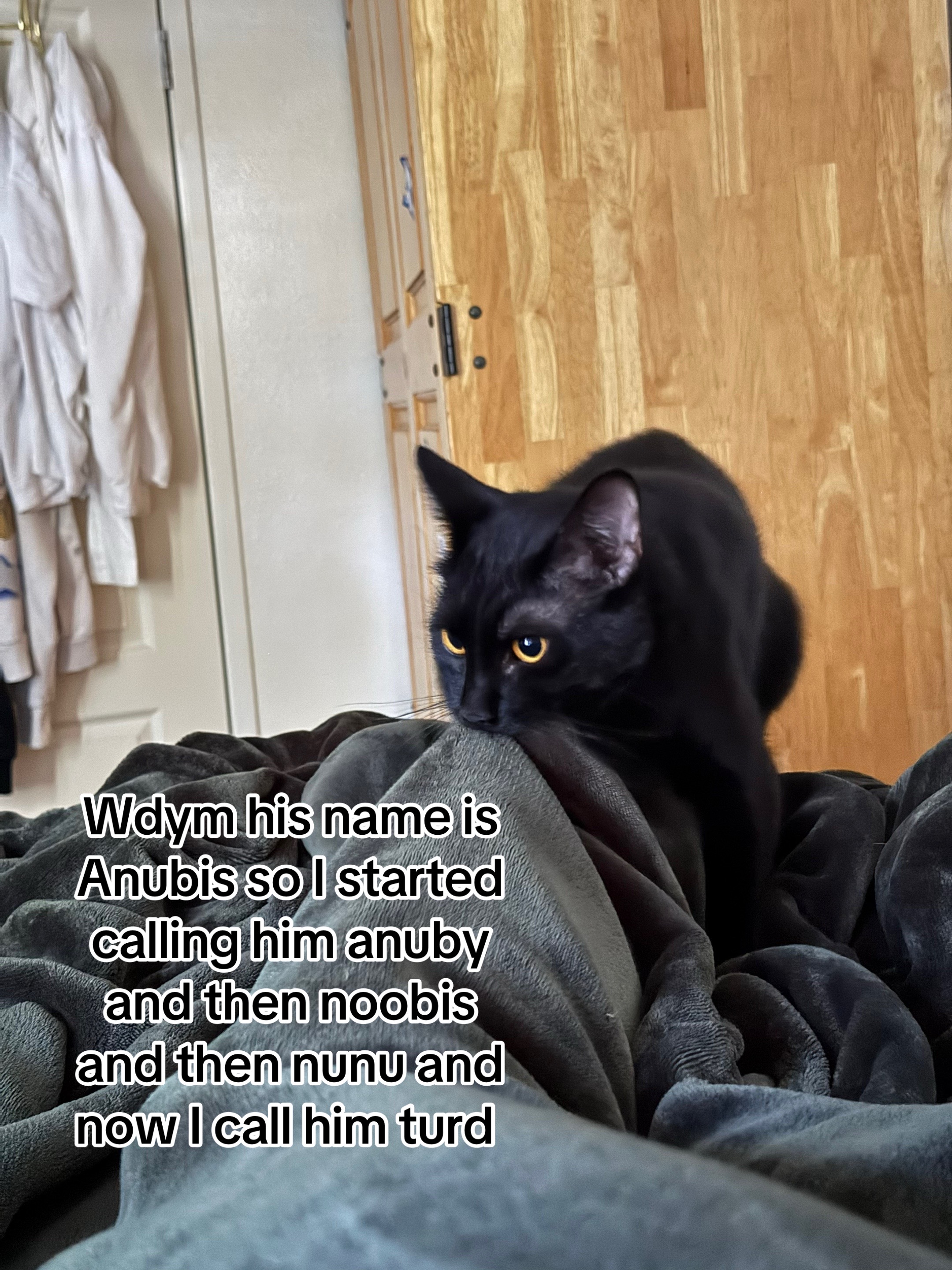 @radhika