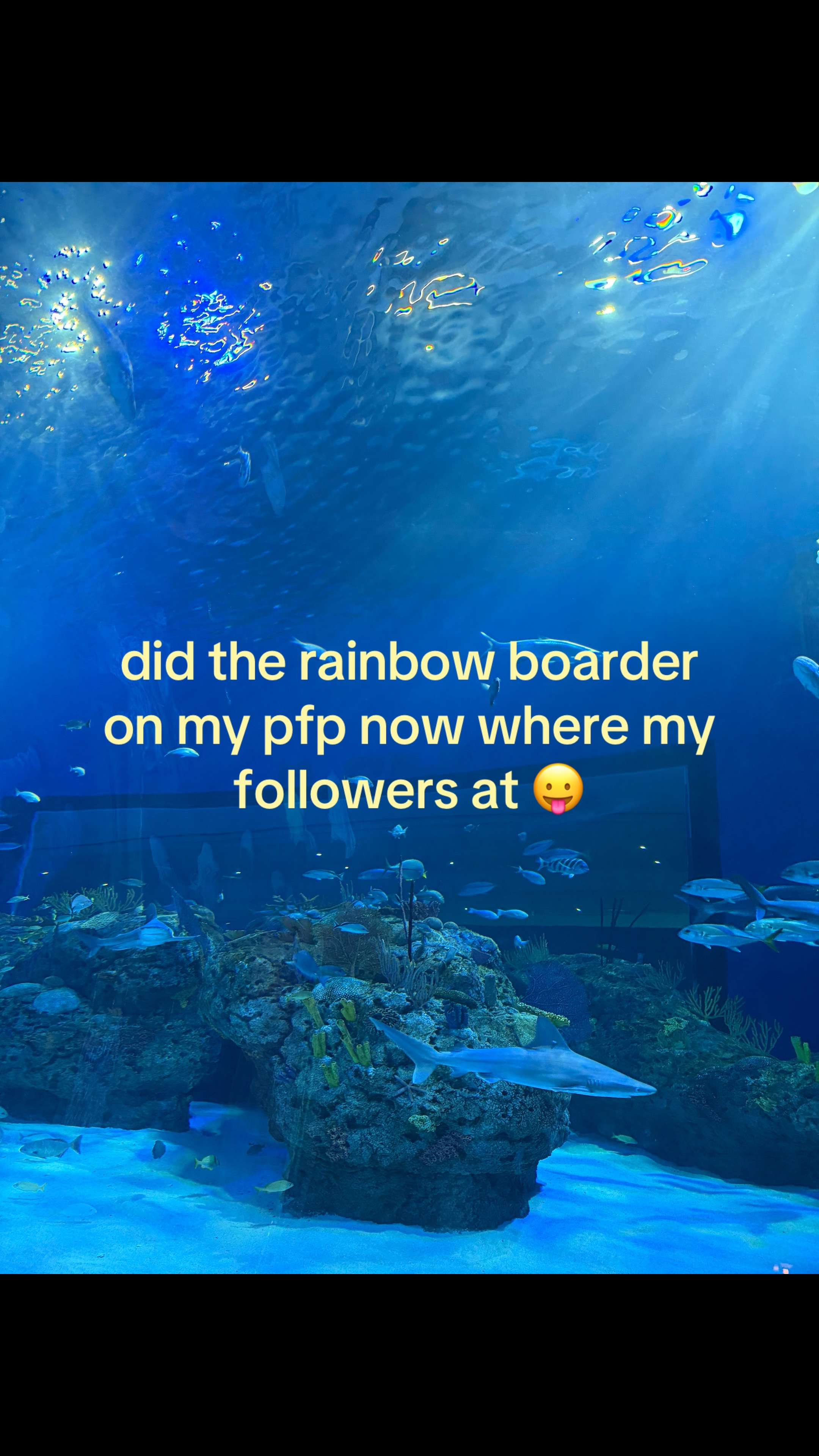 @pey 🐚
