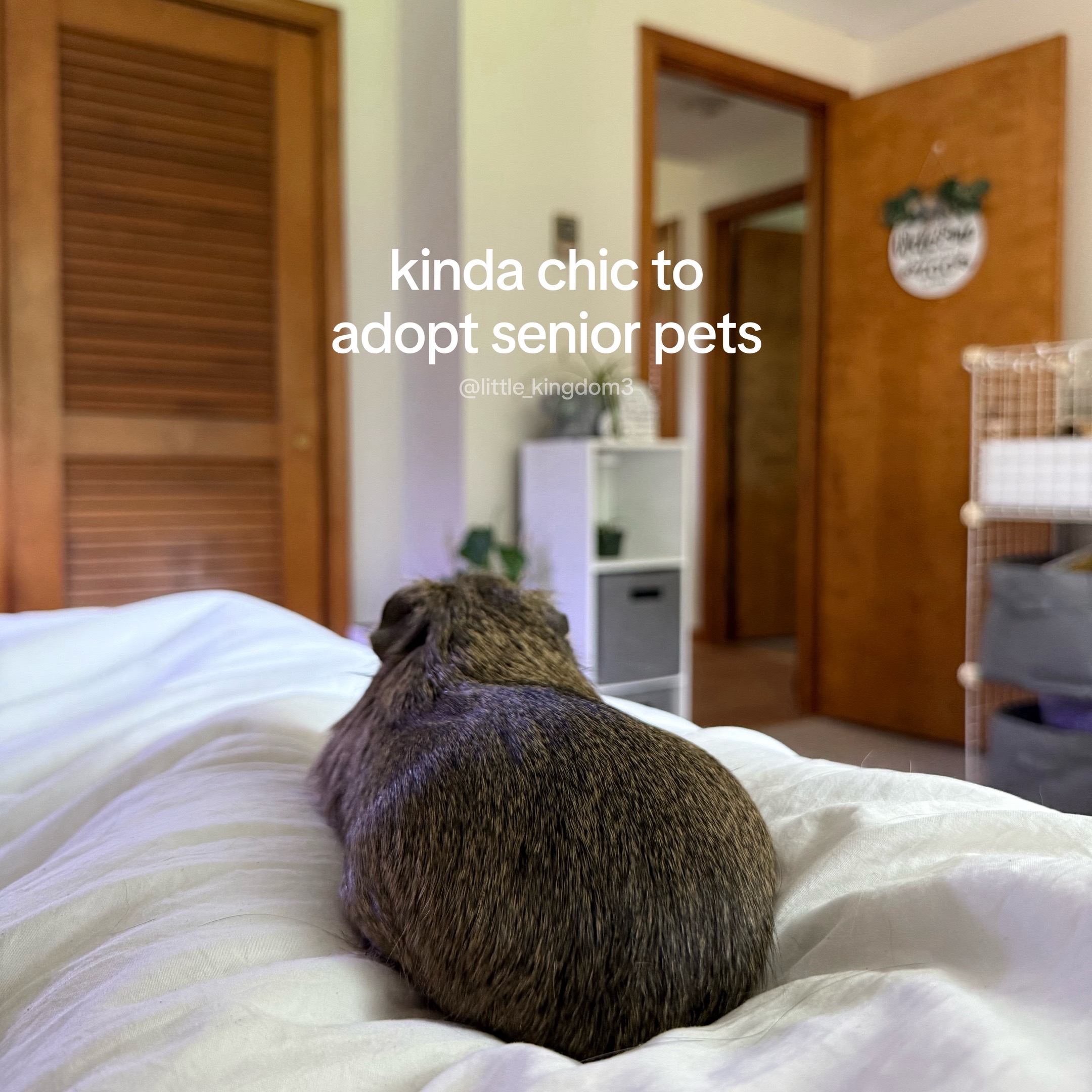 @Ashlyn 🐾