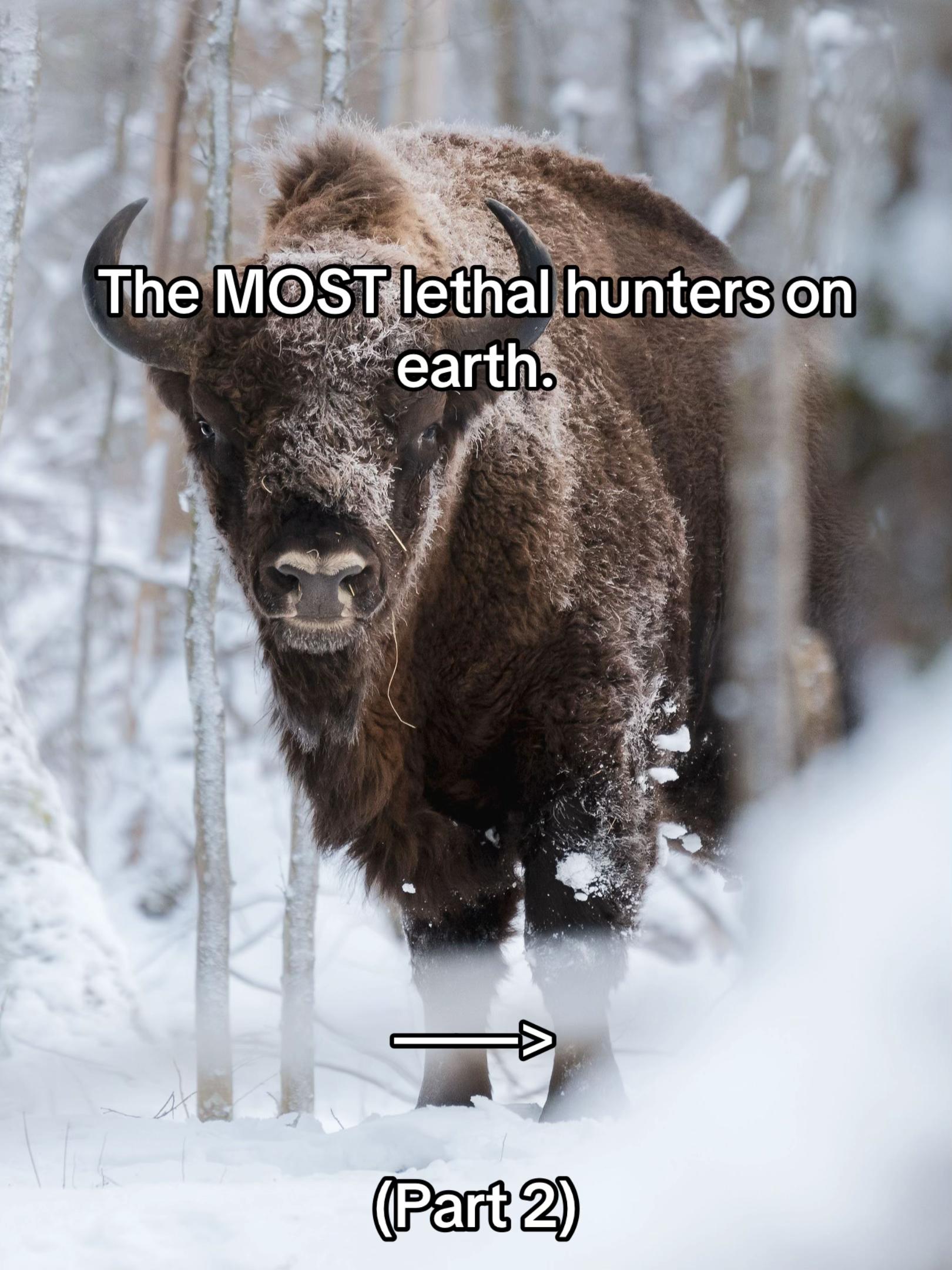 @TruthSeeker