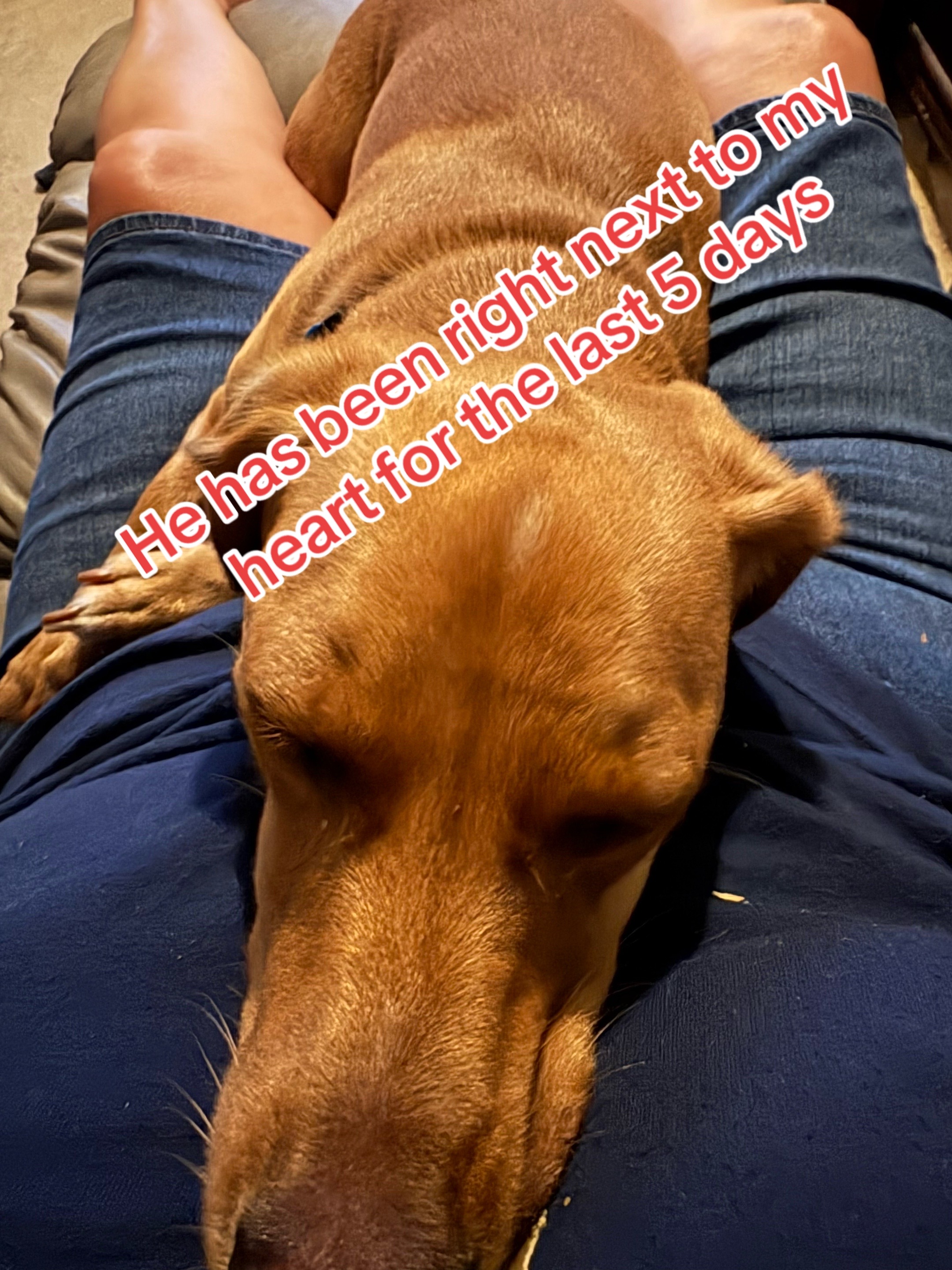 @Blessed MeMe 🐶 🐶❣️